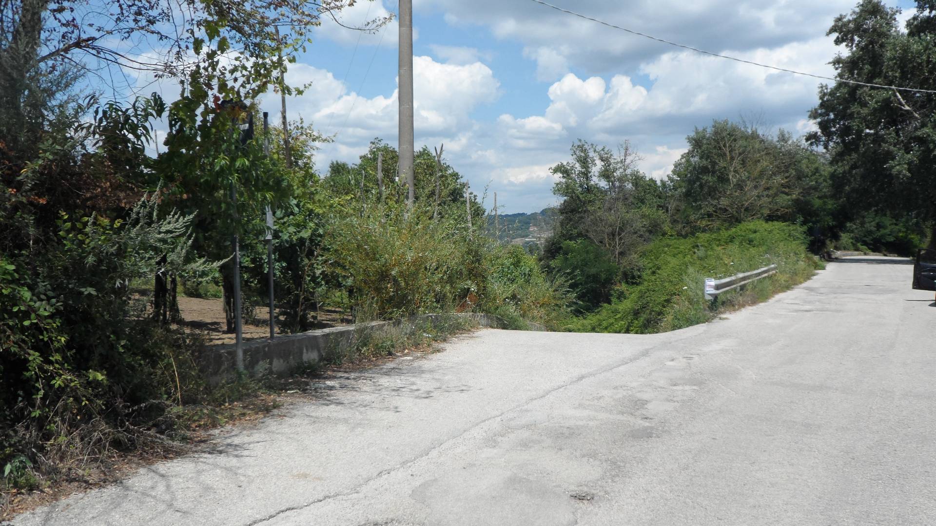 Terreno Agricolo in vendita a Candida