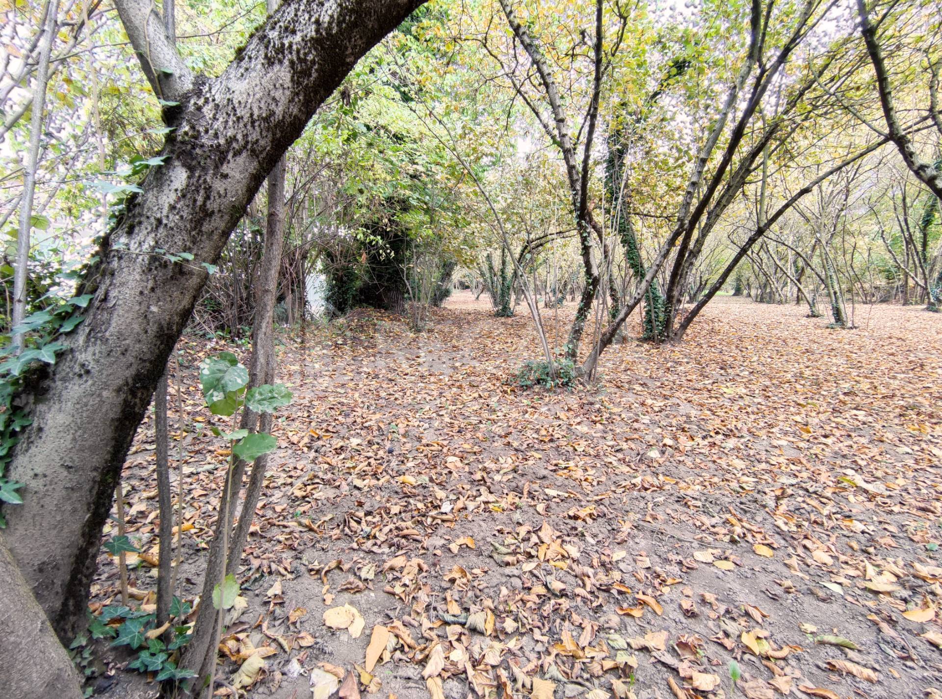 Terreno Agricolo in vendita a Atripalda
