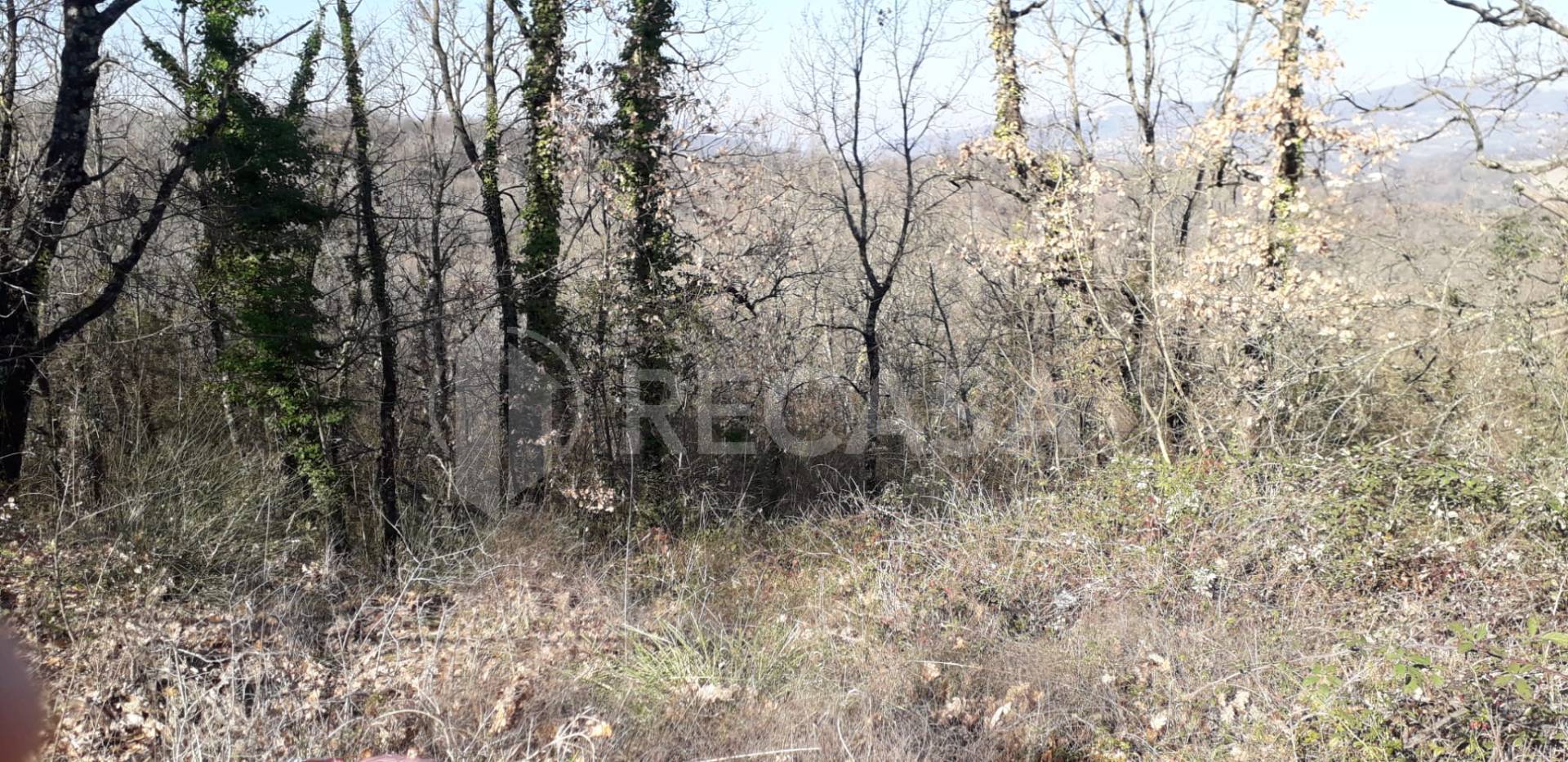 Terreno Agricolo in vendita a Candida