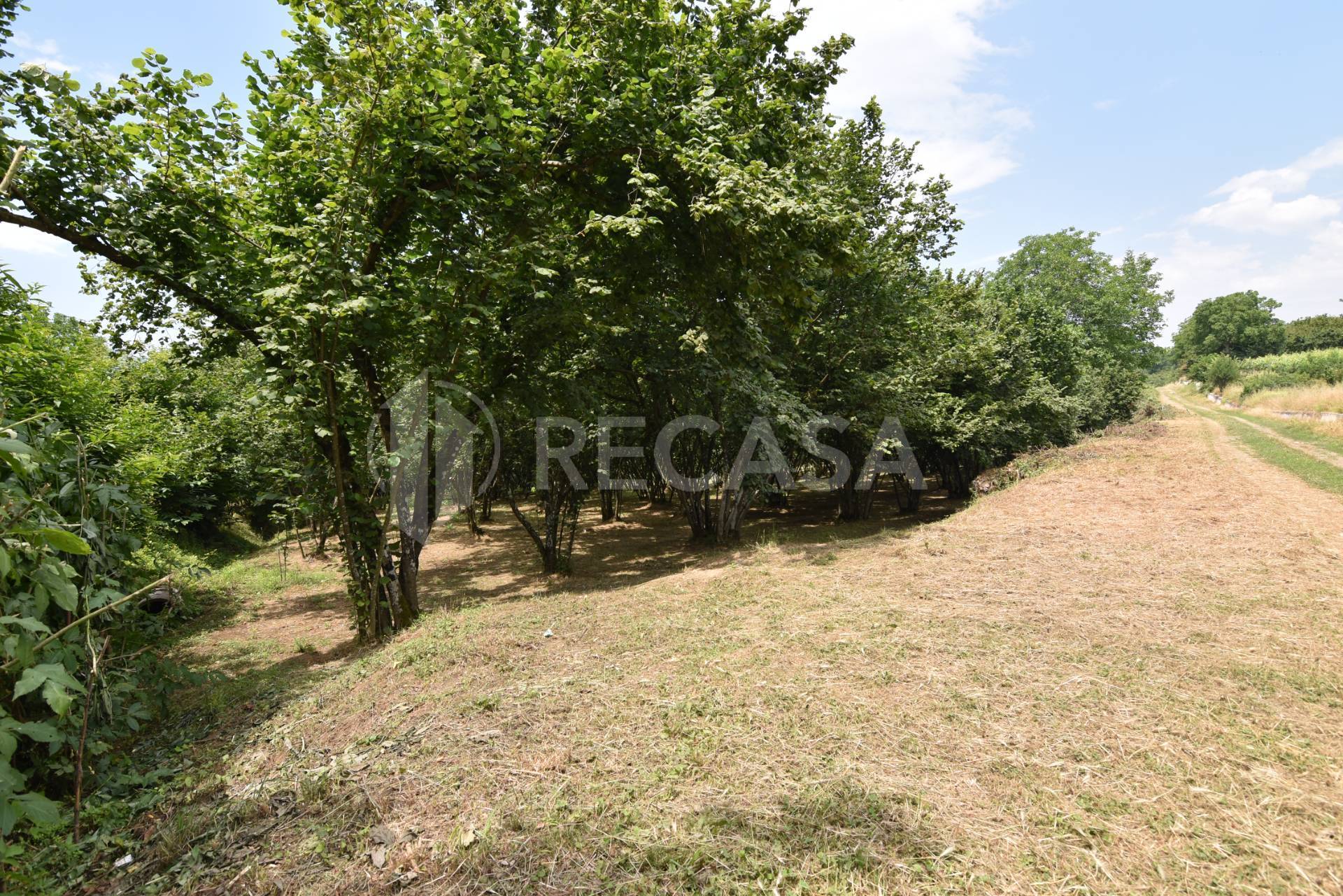 Terreno edificabile in vendita a Aiello del Sabato