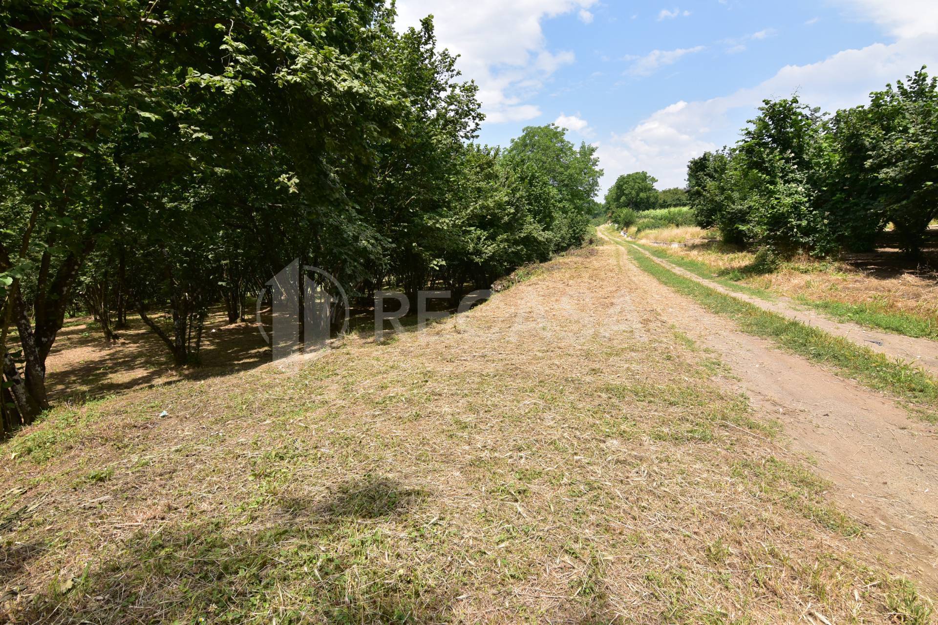 Terreno edificabile in vendita a Aiello del Sabato