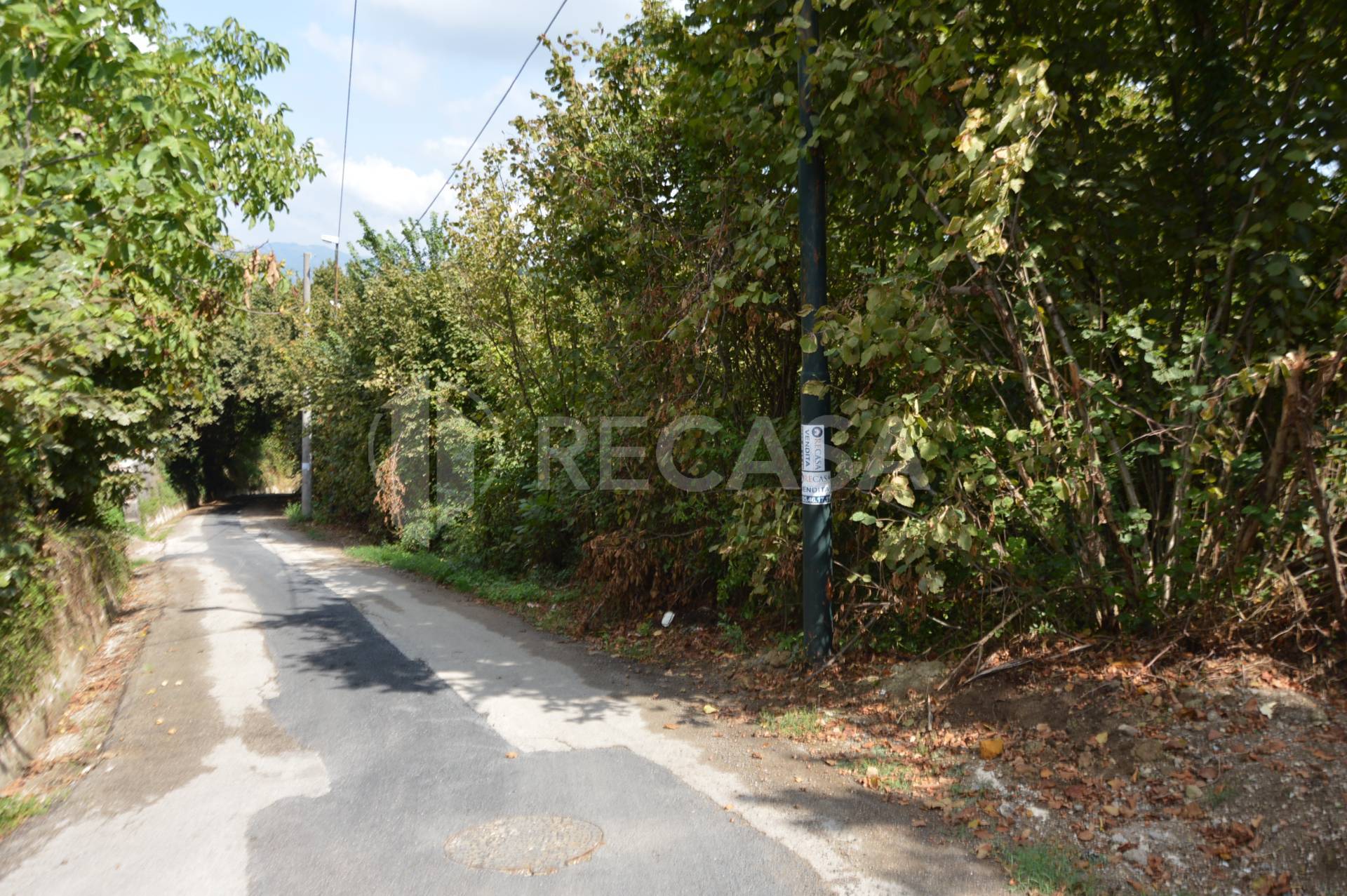 Terreno Agricolo in vendita a Manocalzati