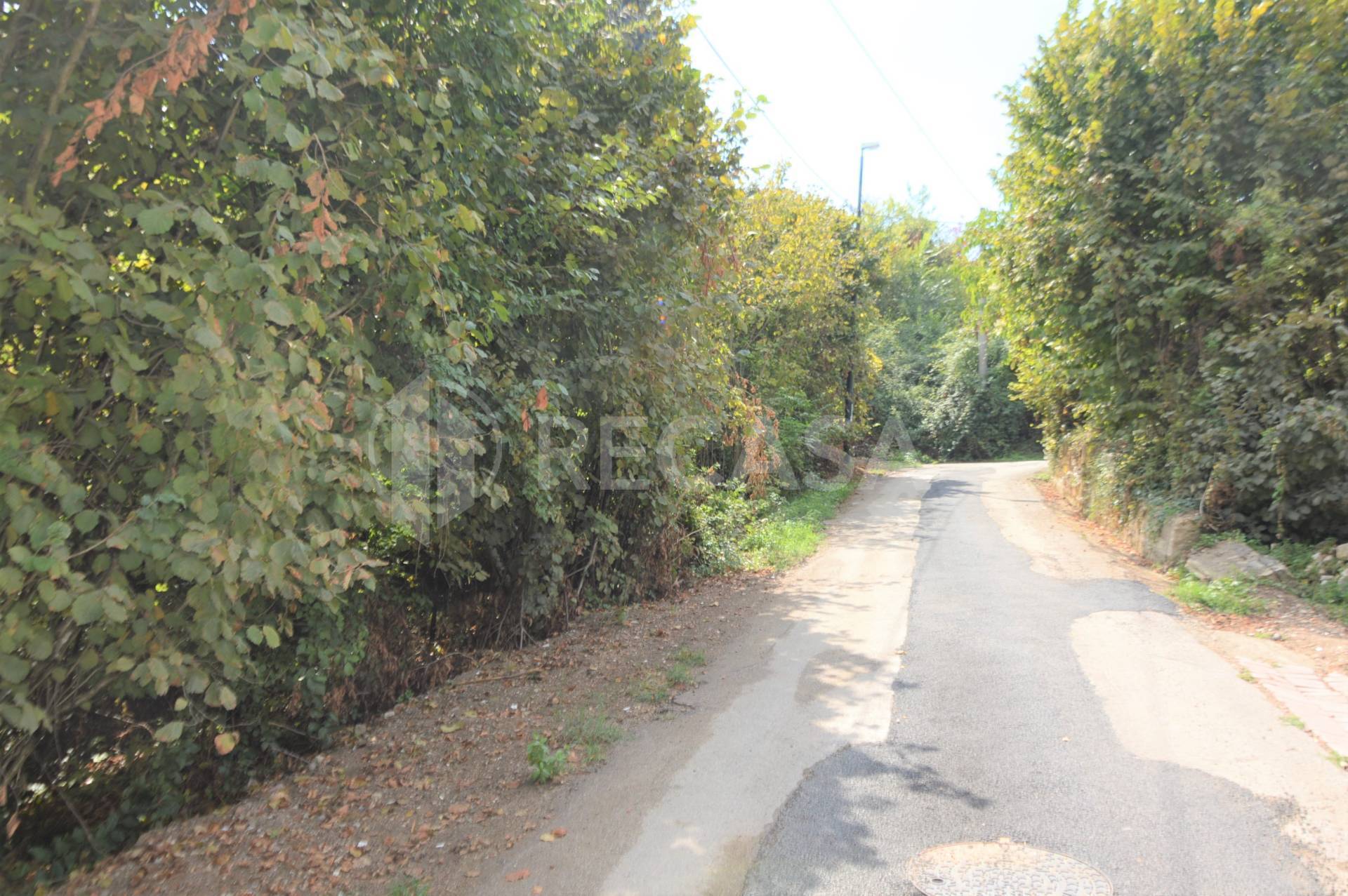 Terreno Agricolo in vendita a Manocalzati