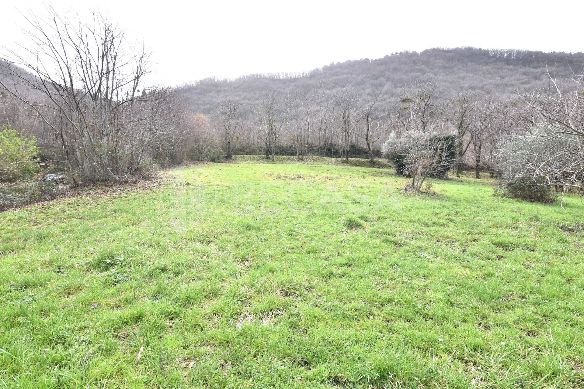 Terreno Agricolo in vendita a Sorbo Serpico