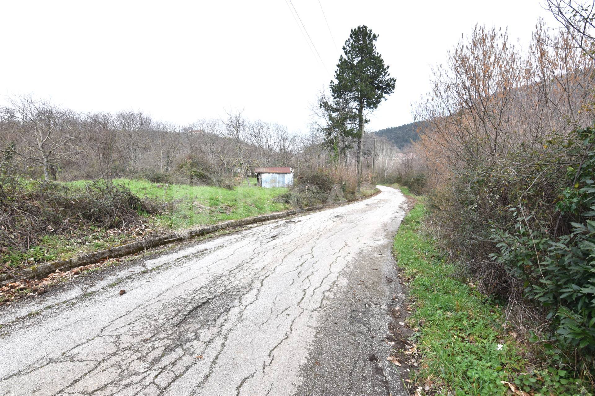 Terreno Agricolo in vendita a Sorbo Serpico