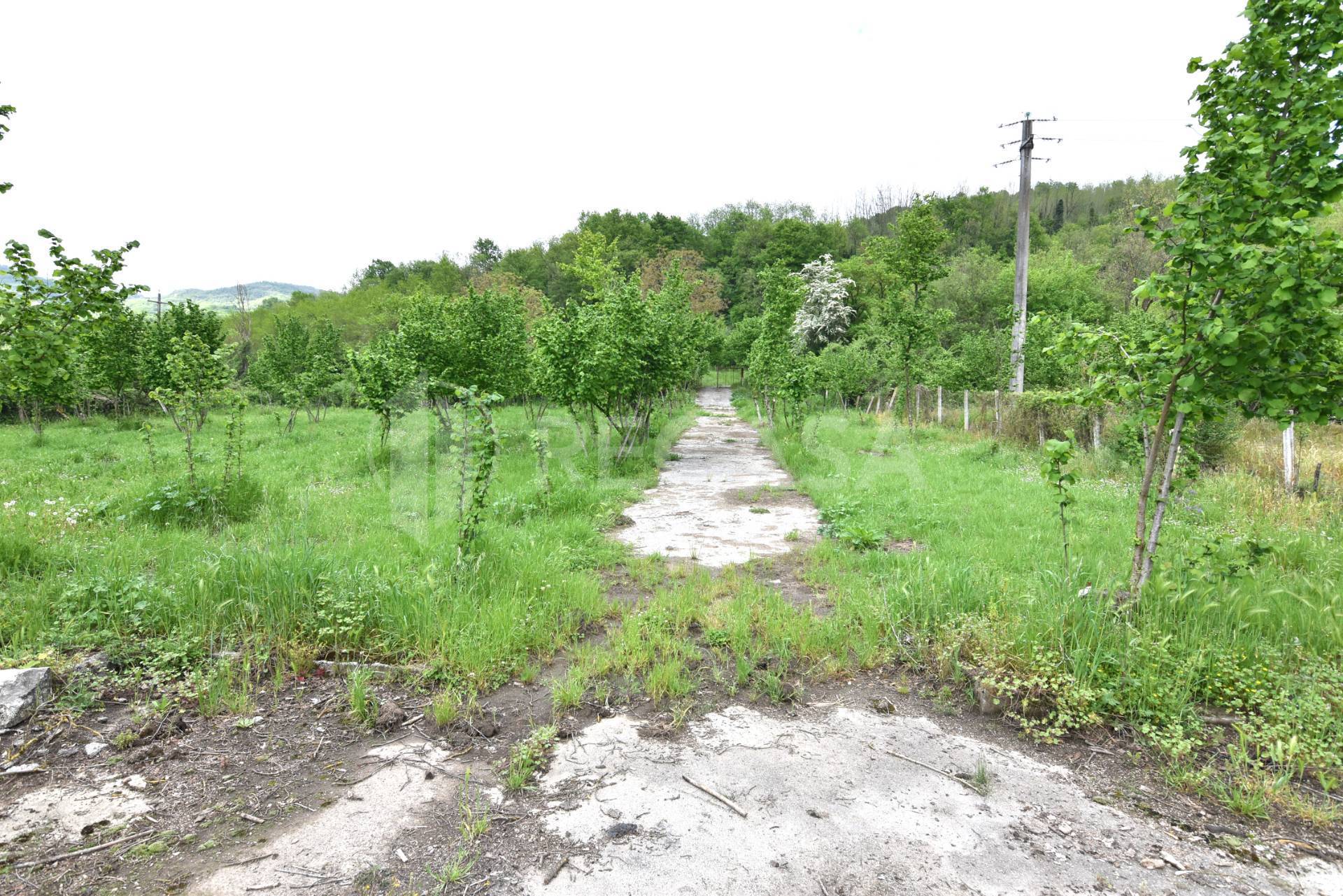 Terreno Agricolo in vendita a Tufo