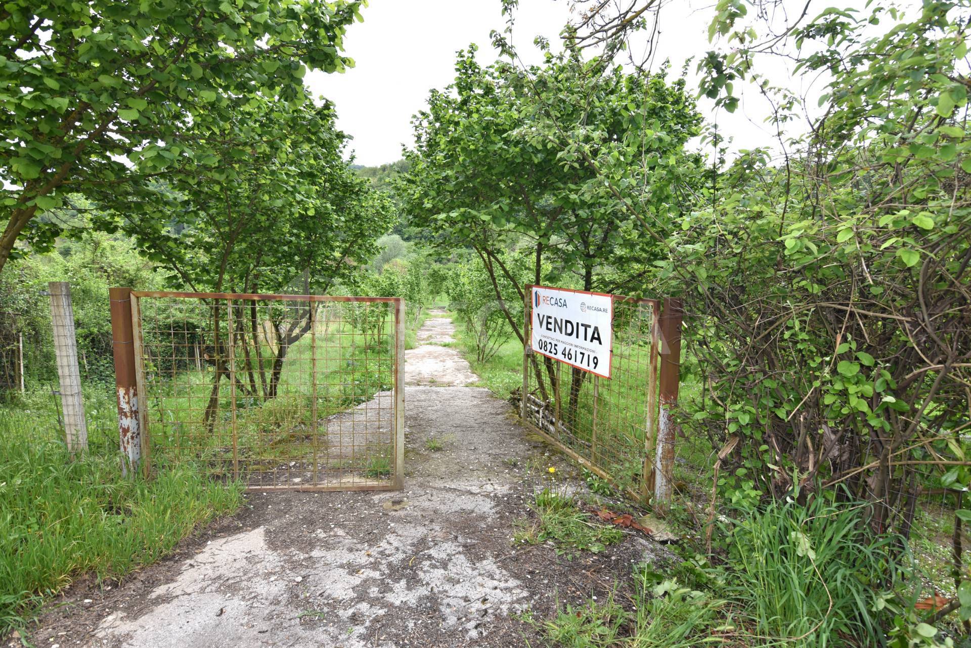 Terreno Agricolo in vendita a Tufo