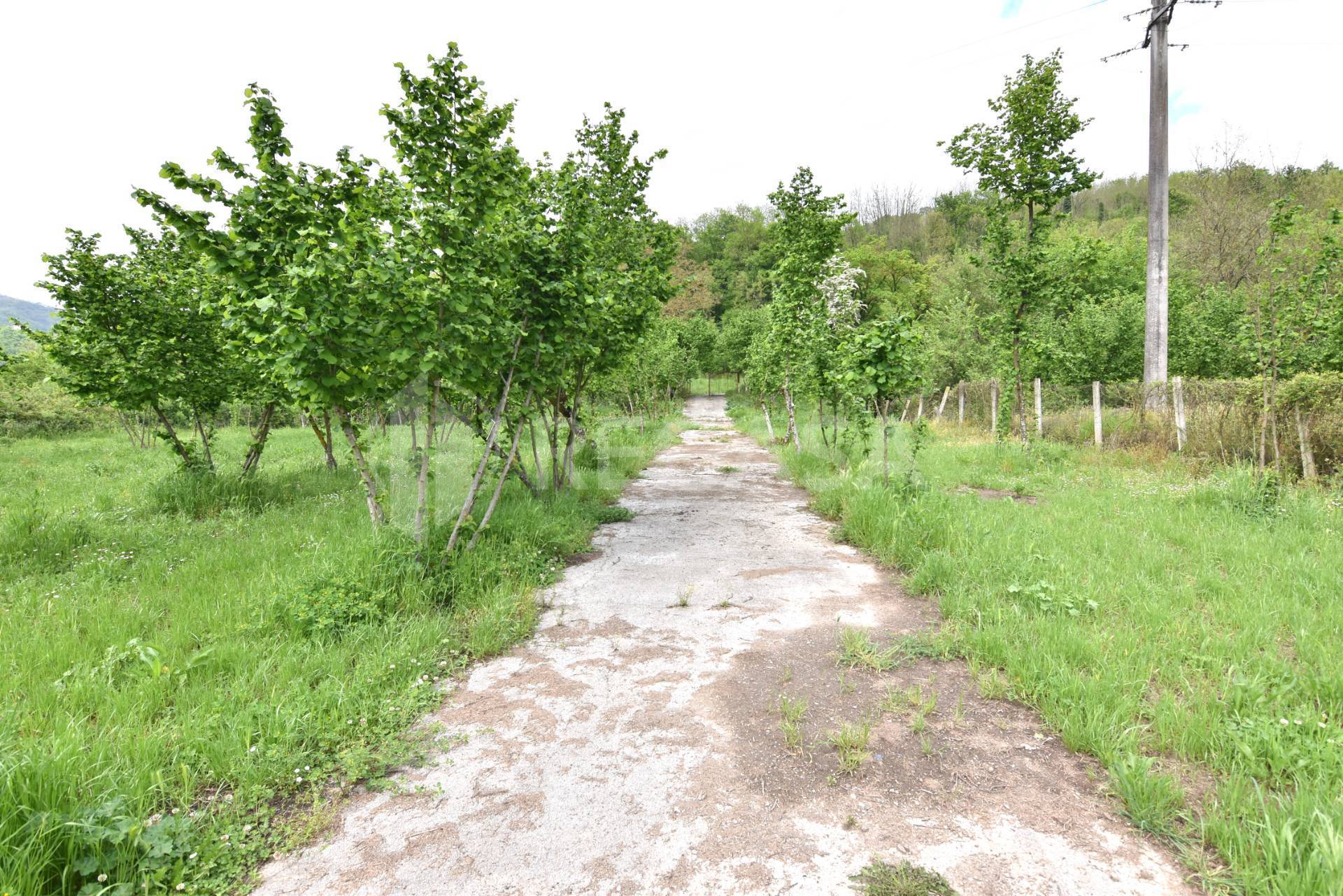 Terreno Agricolo in vendita a Tufo