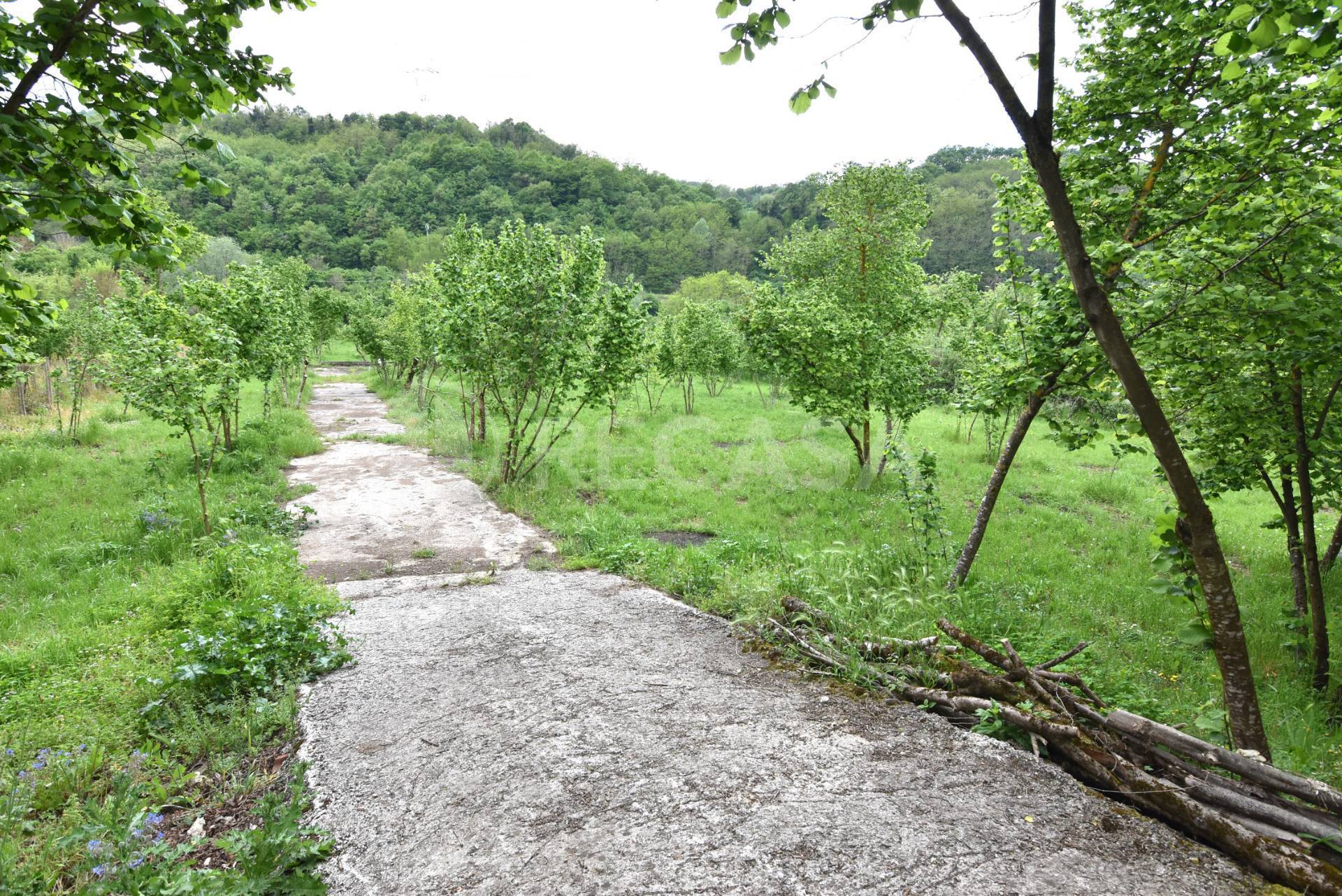 Terreno Agricolo in vendita a Tufo