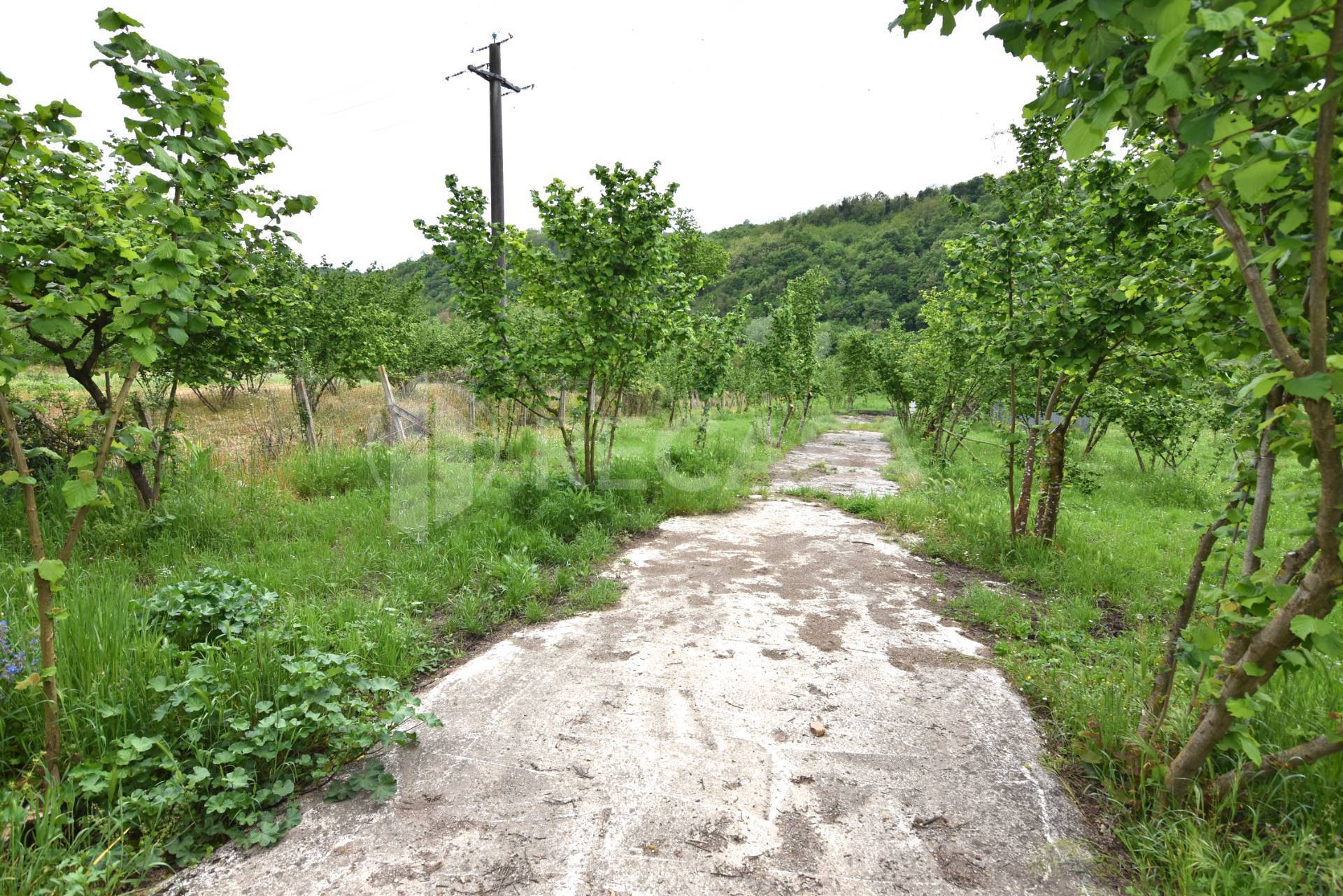 Terreno Agricolo in vendita a Tufo