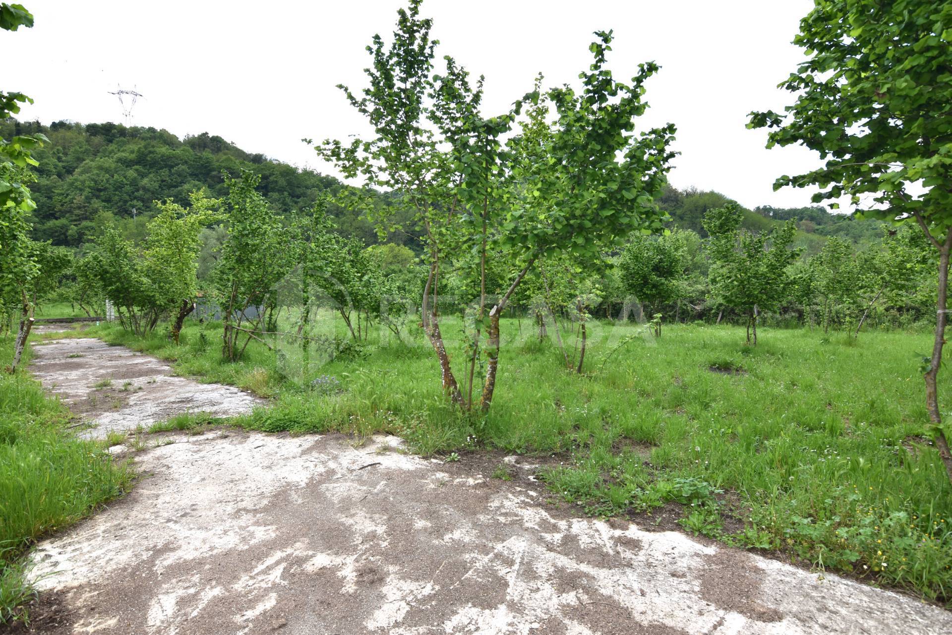 Terreno Agricolo in vendita a Tufo