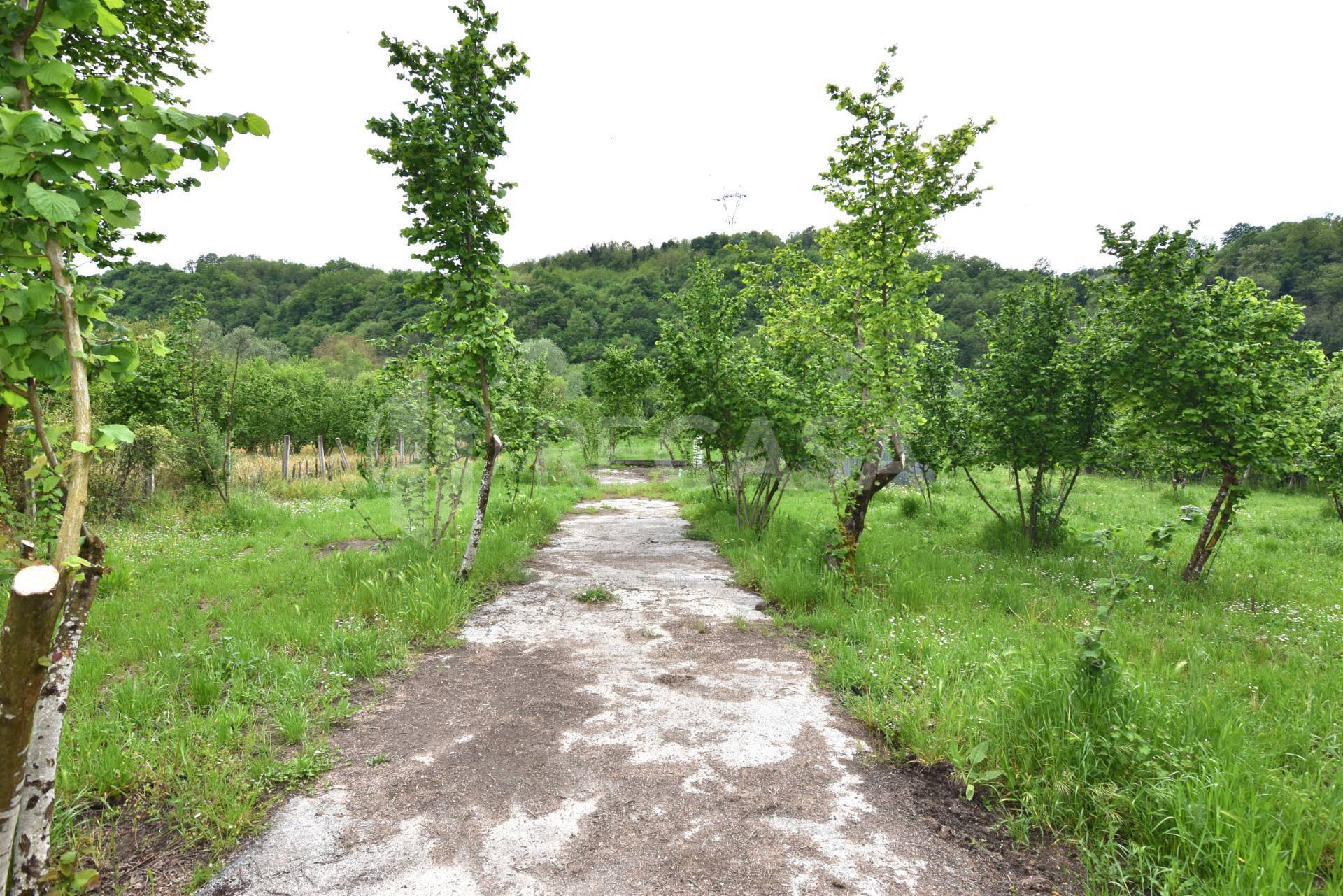 Terreno Agricolo in vendita a Tufo