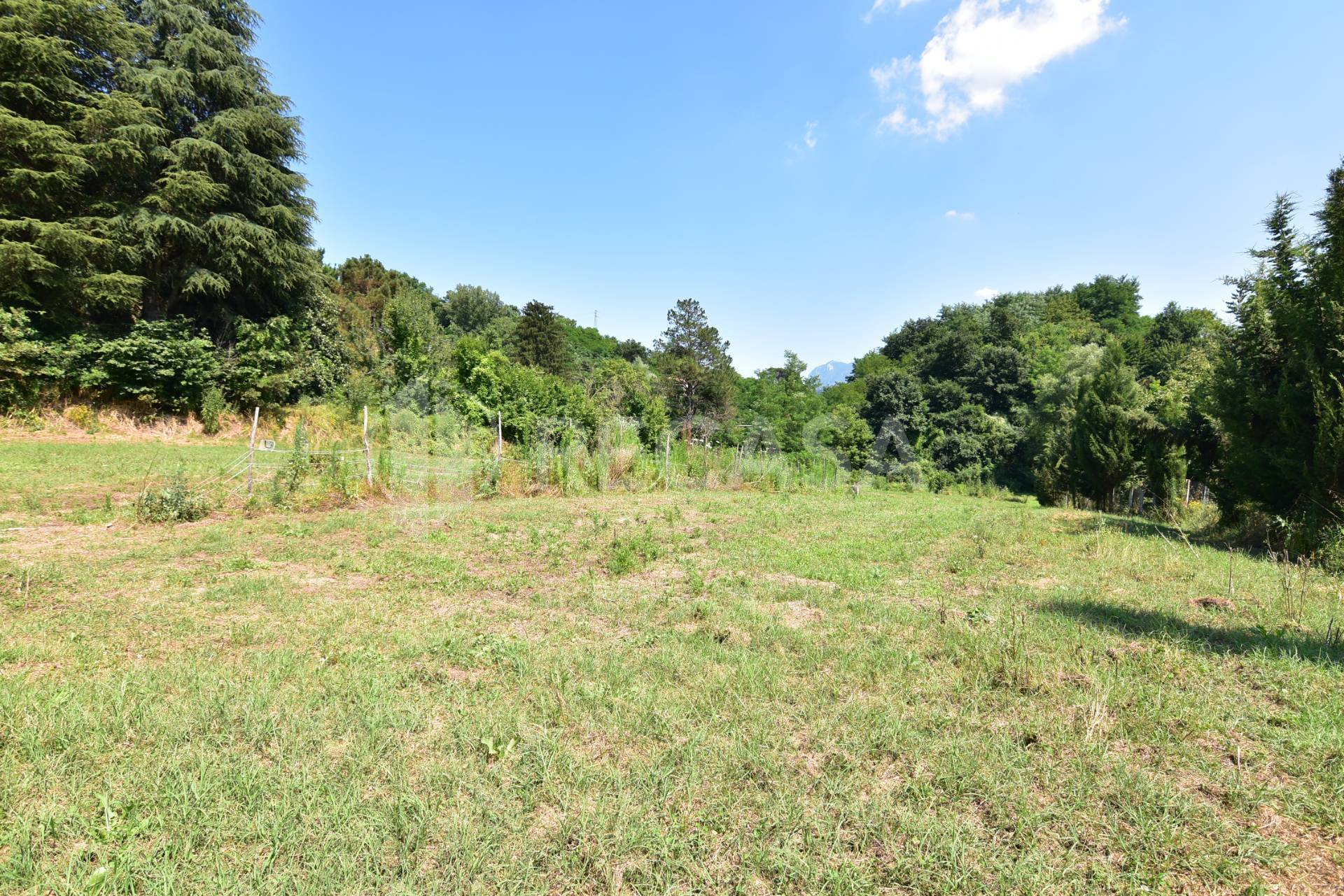 Terreno Agricolo in vendita a Prata di Principato Ultra