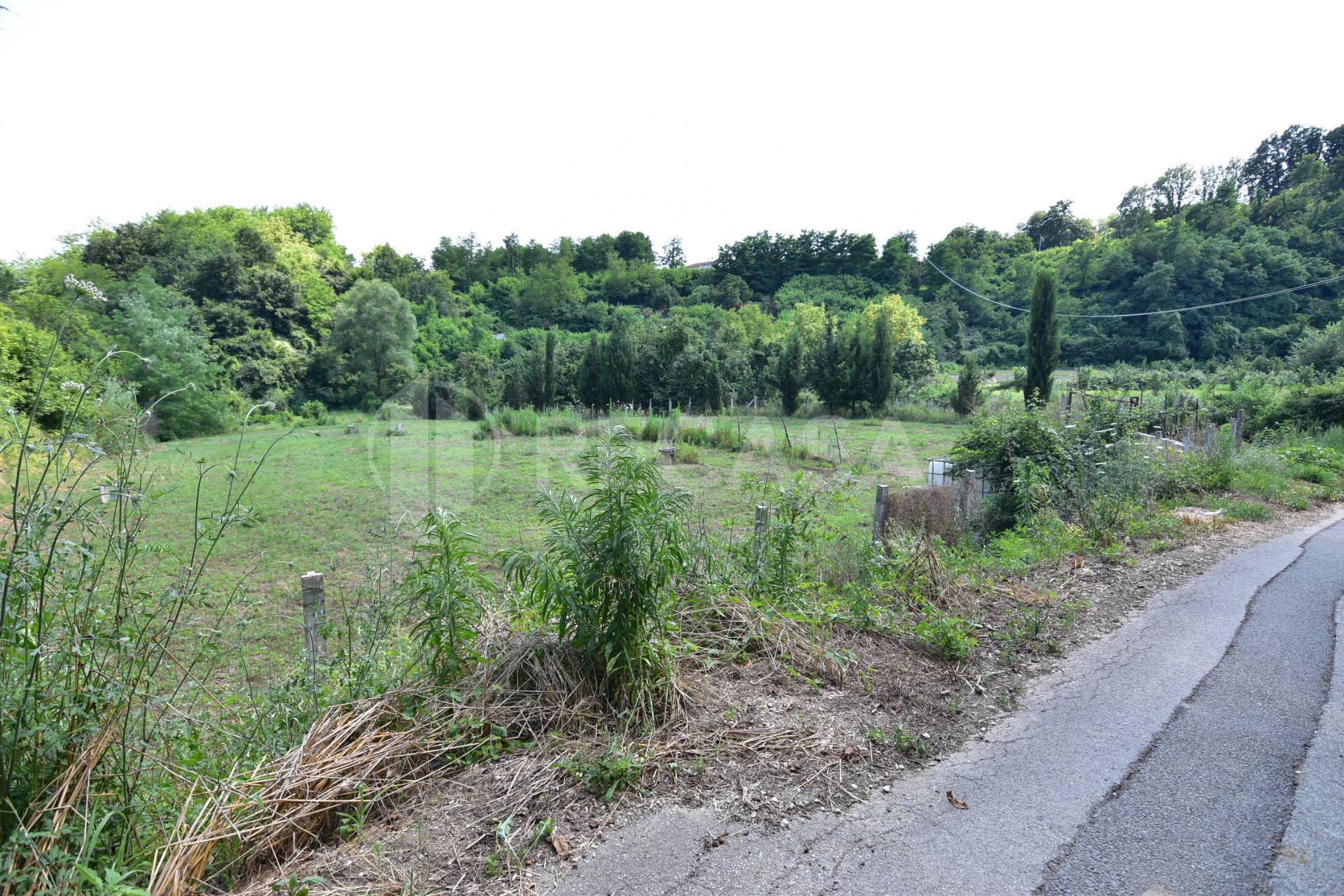Terreno Agricolo in vendita a Prata di Principato Ultra