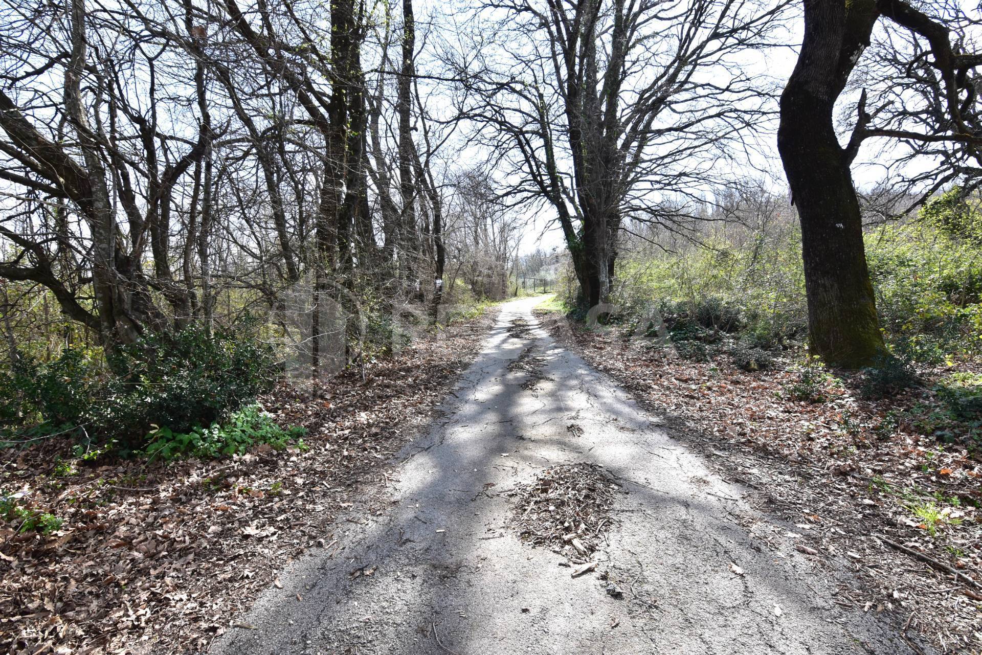 Terreno Agricolo in vendita a Manocalzati