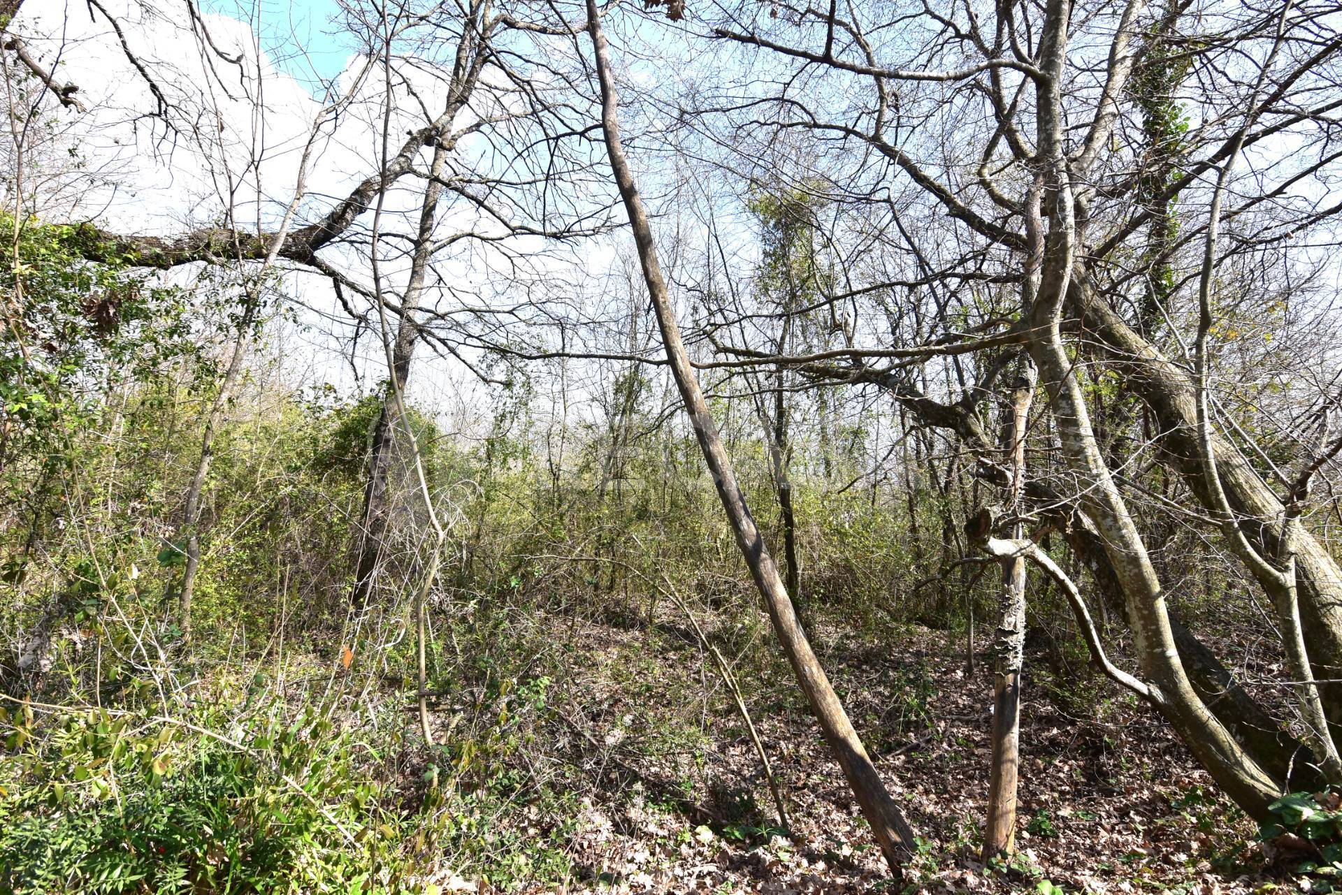 Terreno Agricolo in vendita a Manocalzati