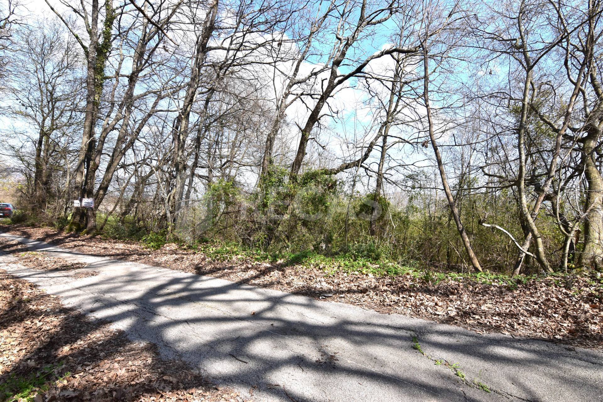 Terreno Agricolo in vendita a Manocalzati