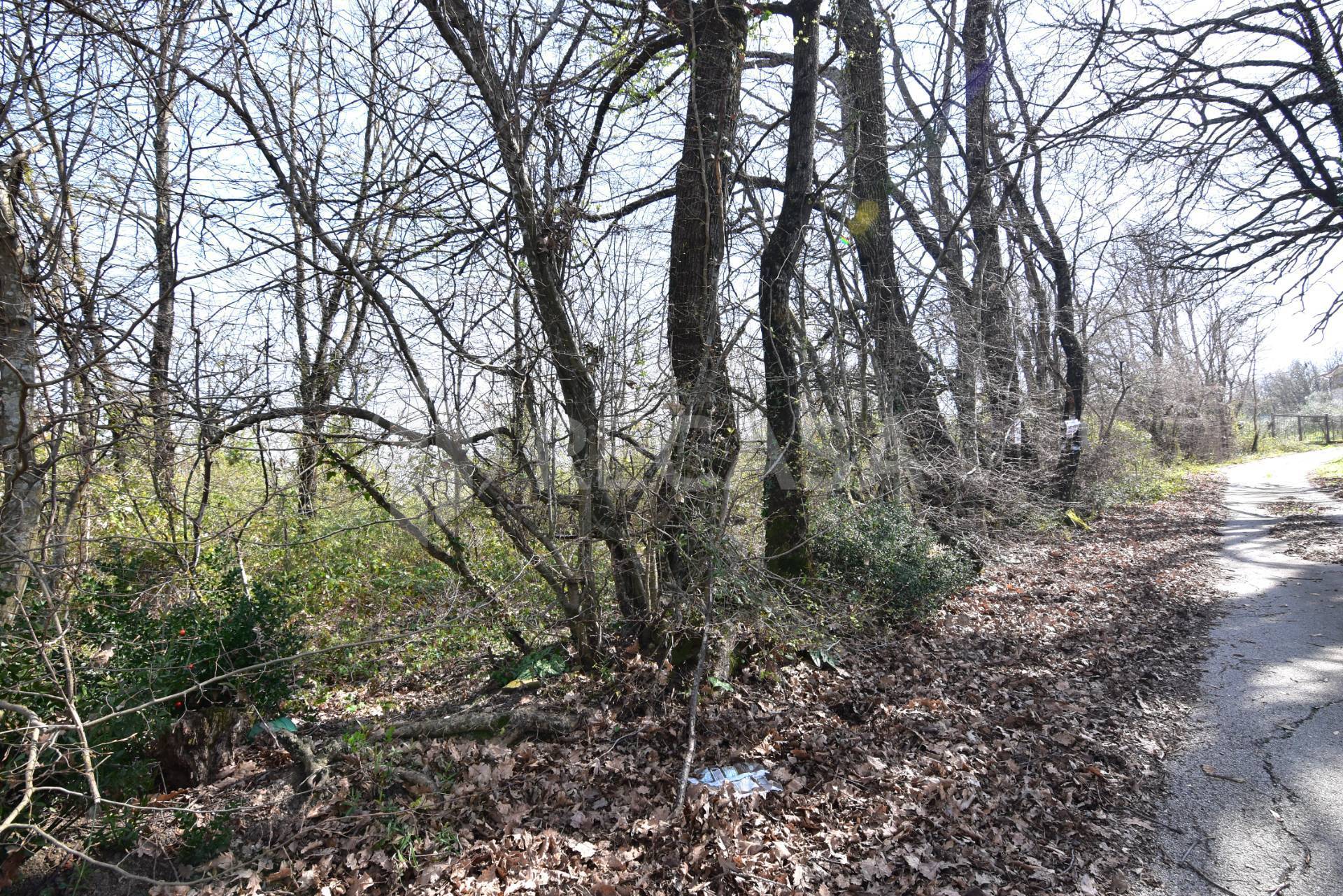 Terreno Agricolo in vendita a Manocalzati