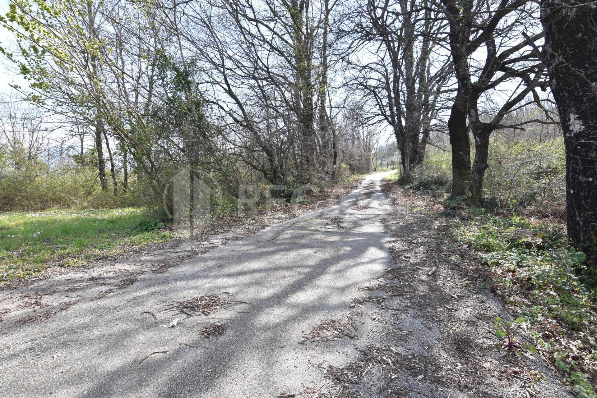 Terreno Agricolo in vendita a Manocalzati