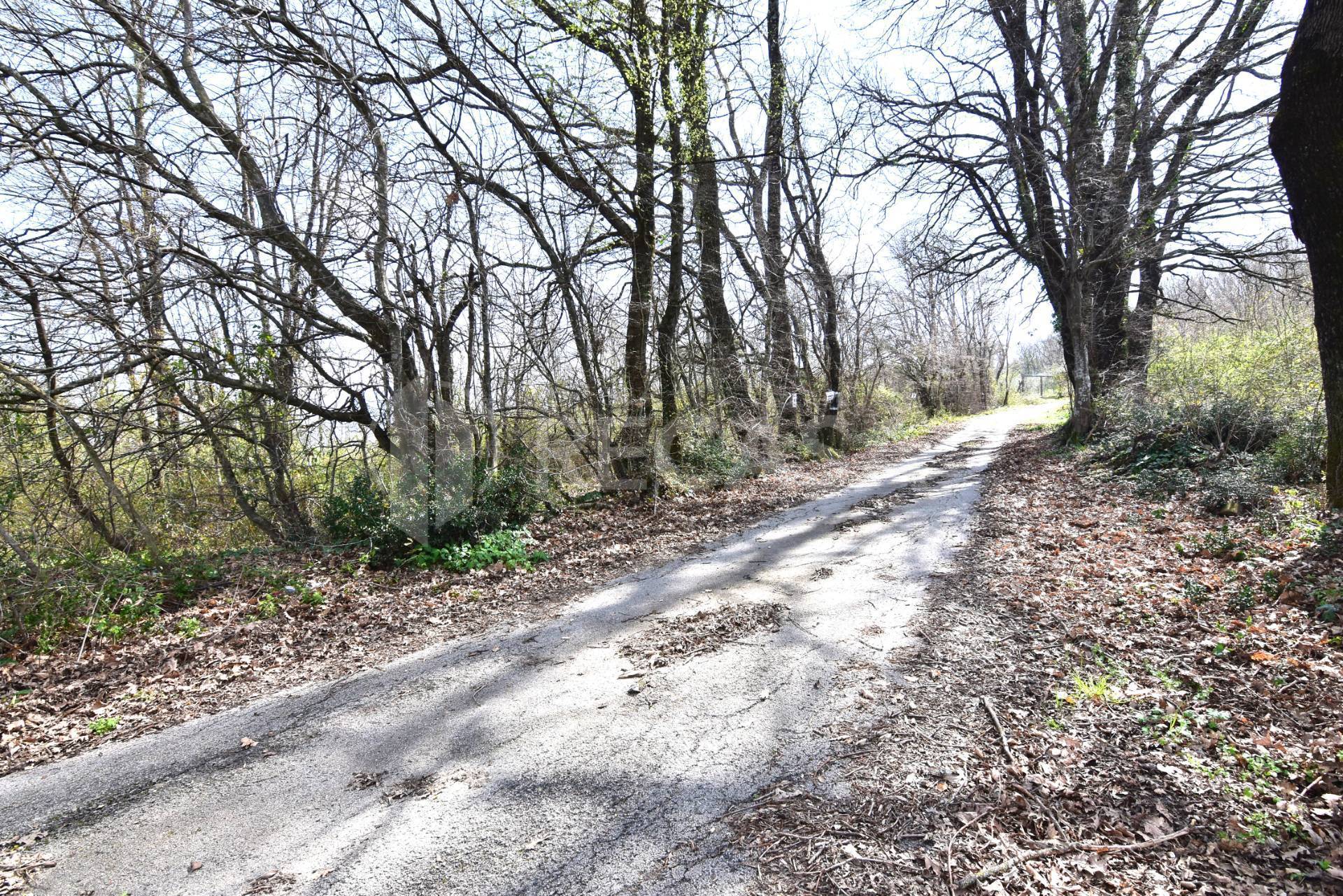 Terreno Agricolo in vendita a Manocalzati