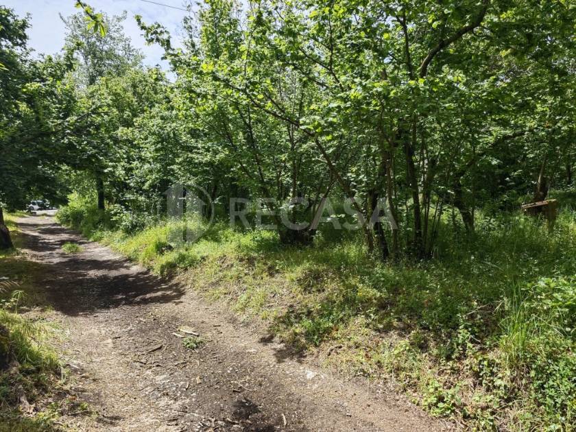 Terreno Agricolo in vendita a Contrada