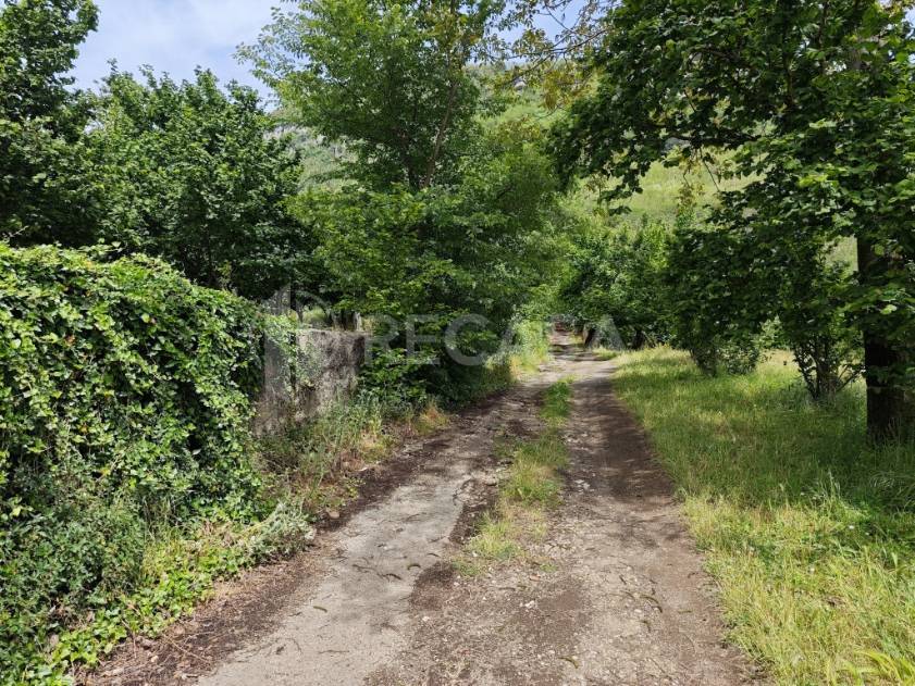 Terreno Agricolo in vendita a Contrada