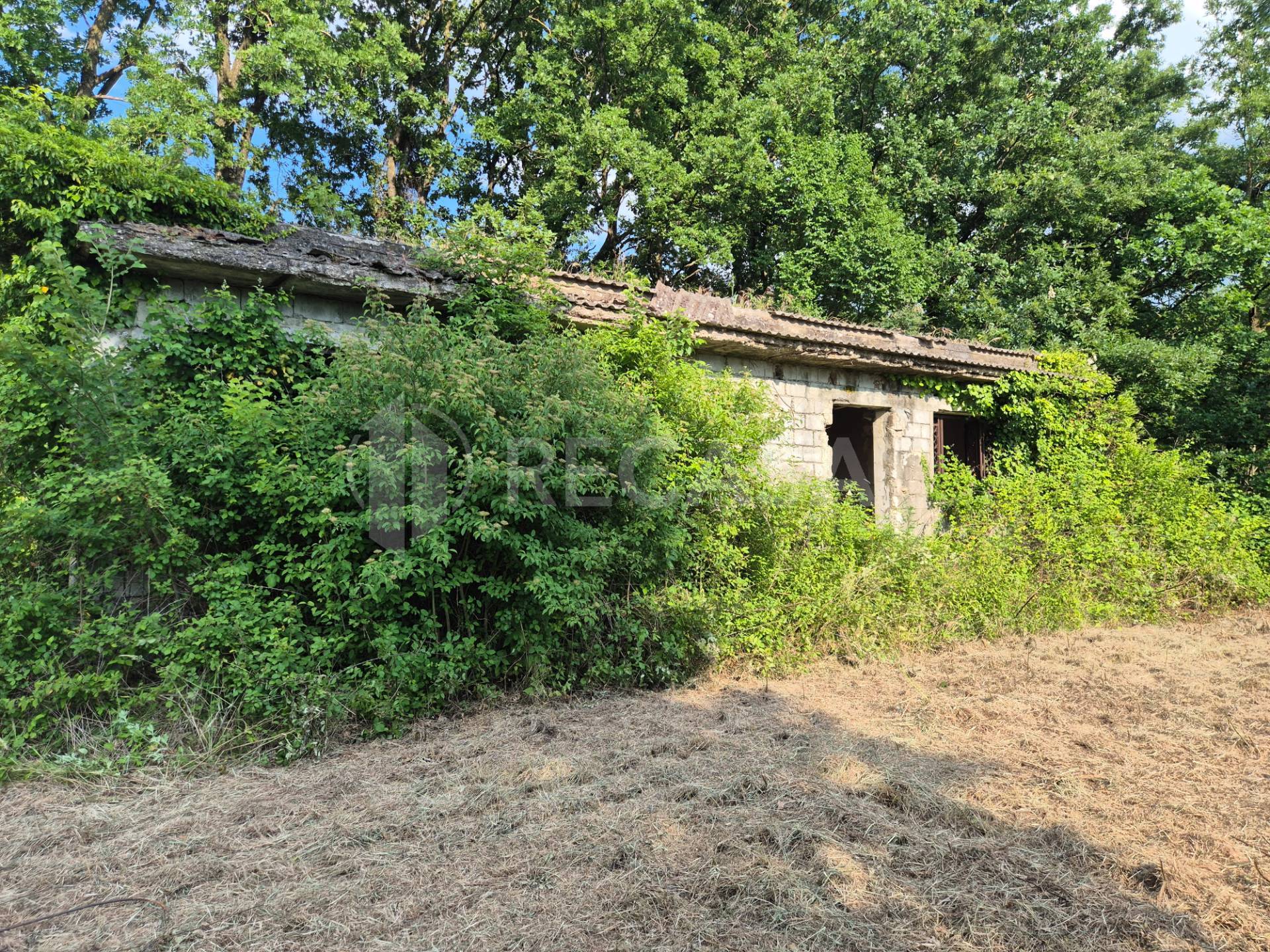 Rustico in vendita a San Potito Ultra