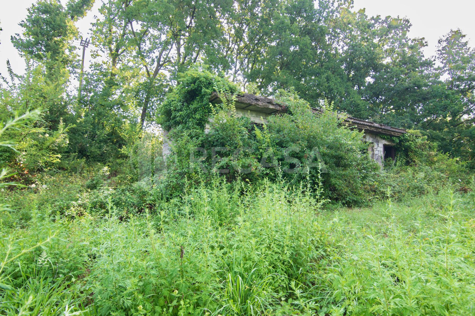 Rustico in vendita a San Potito Ultra