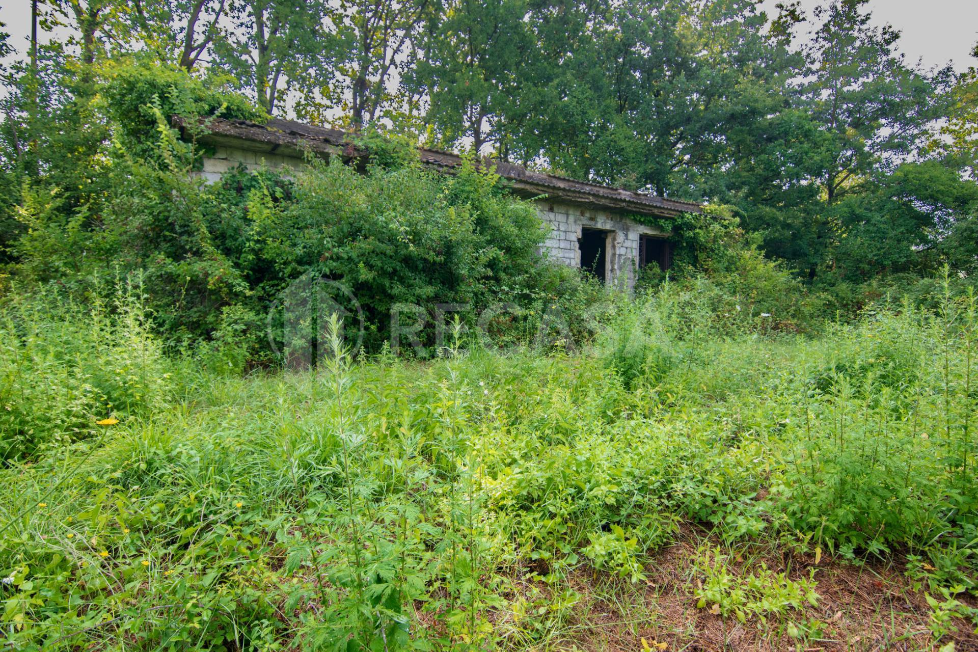 Rustico in vendita a San Potito Ultra