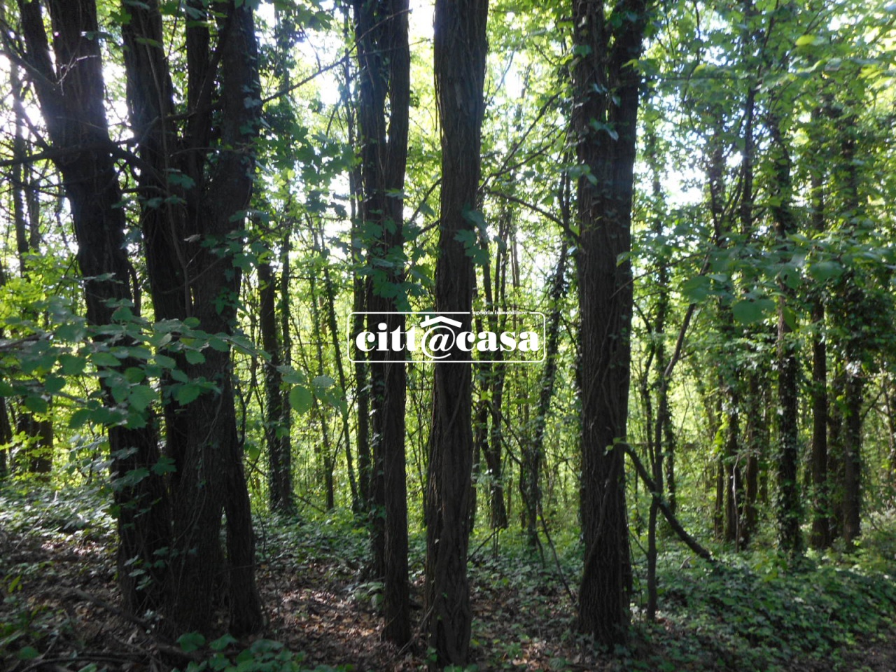 Terreno con giardino a Cavagnolo