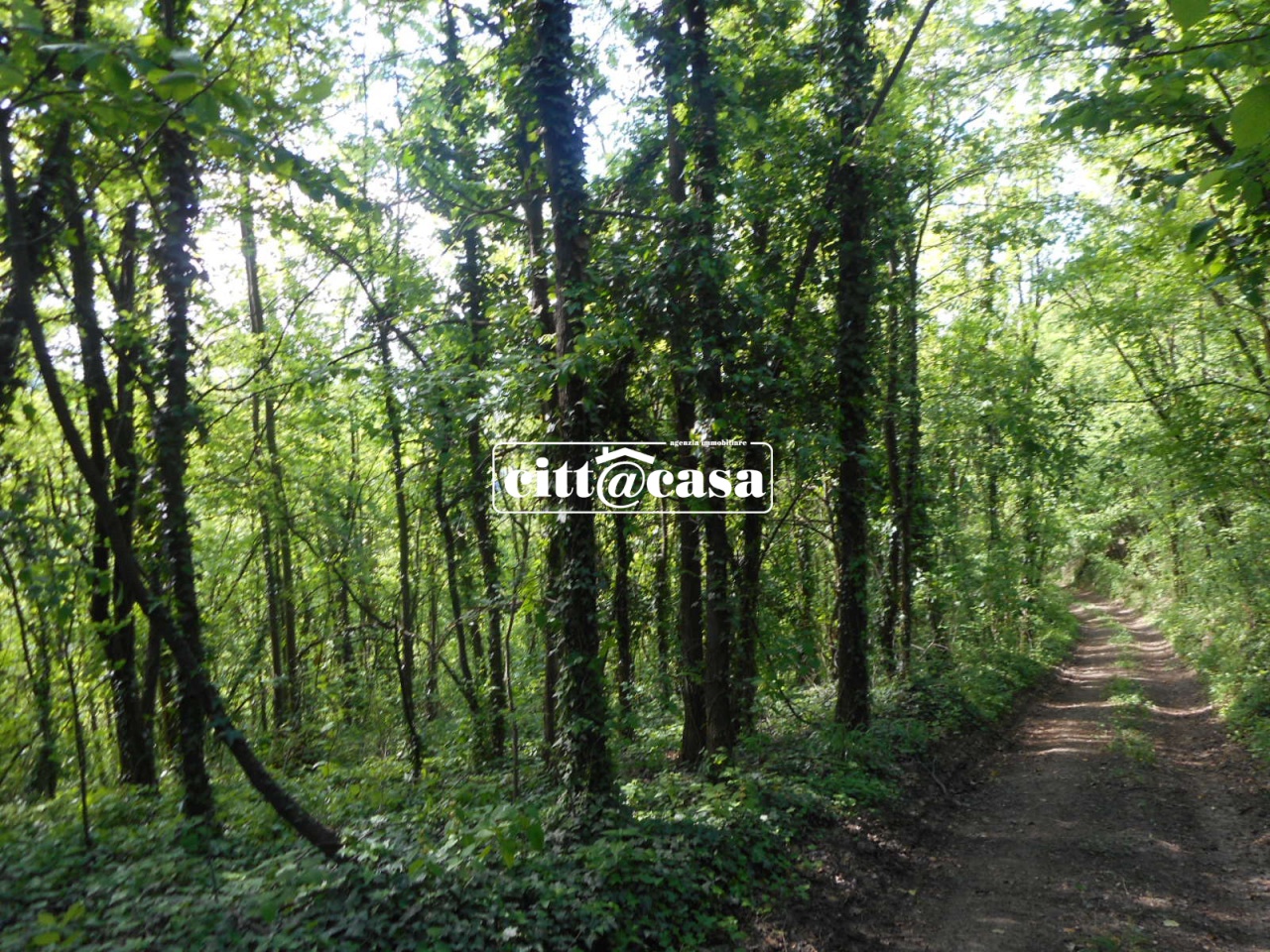 Terreno con giardino a Cavagnolo