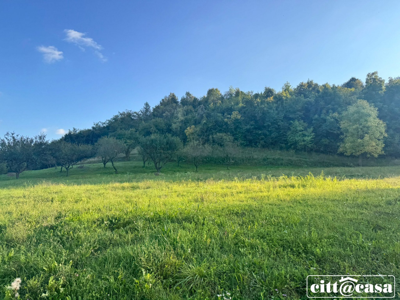 Terreno con giardino a Brusasco