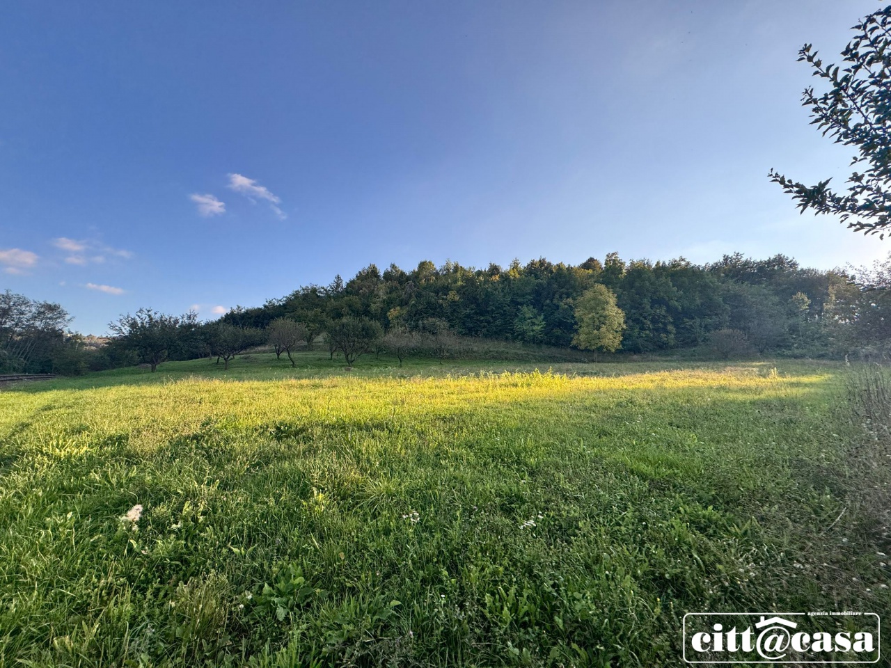 Terreno con giardino a Brusasco