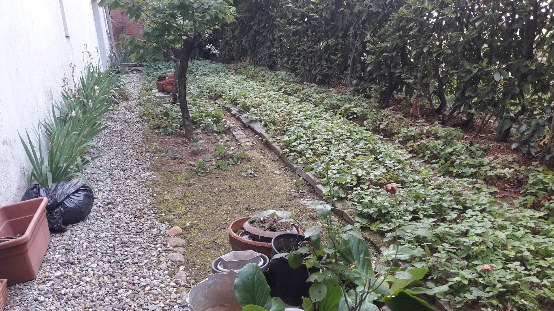 semi indipendente in vendita a Cassano Magnago