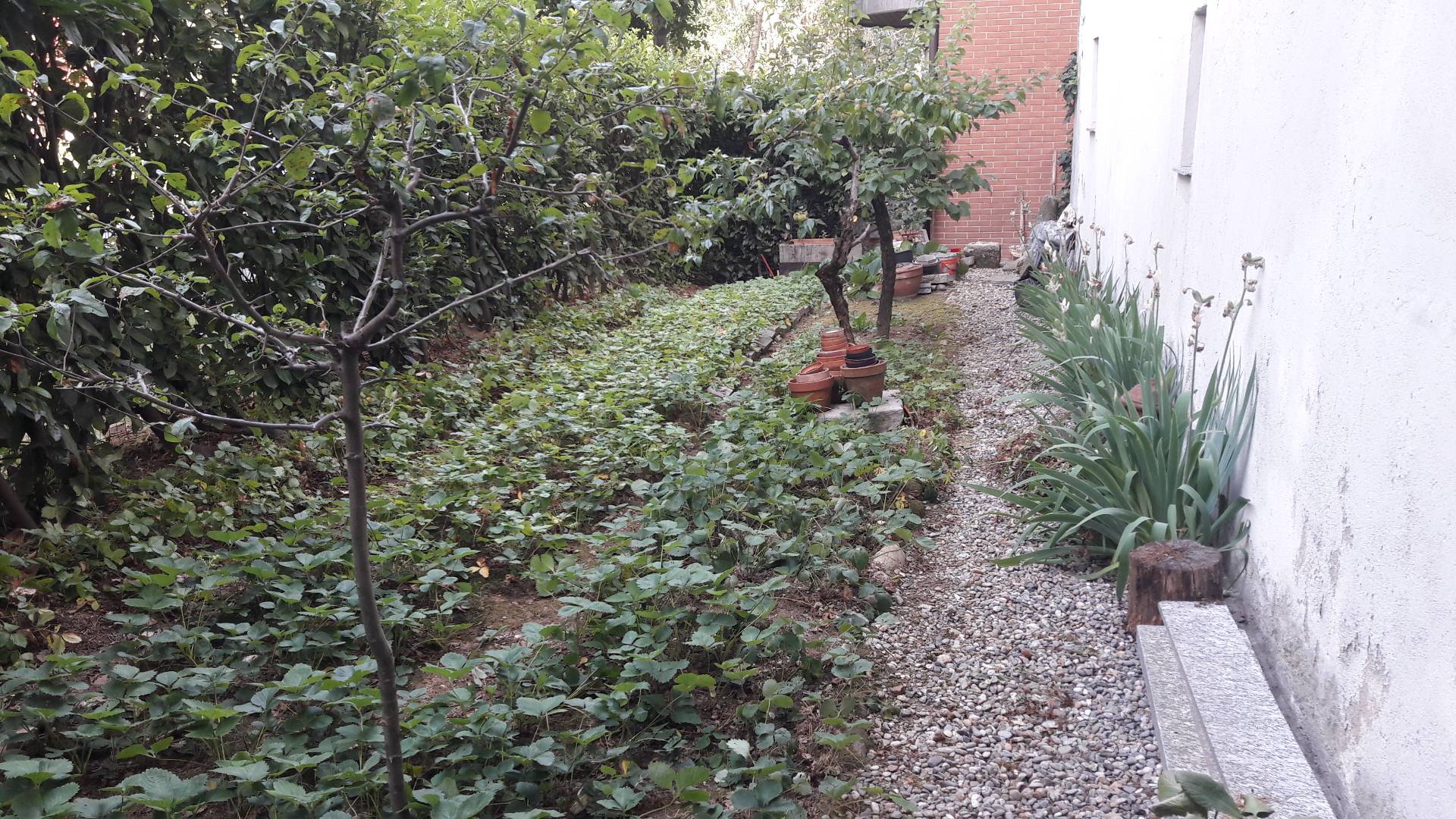 semi indipendente in vendita a Cassano Magnago