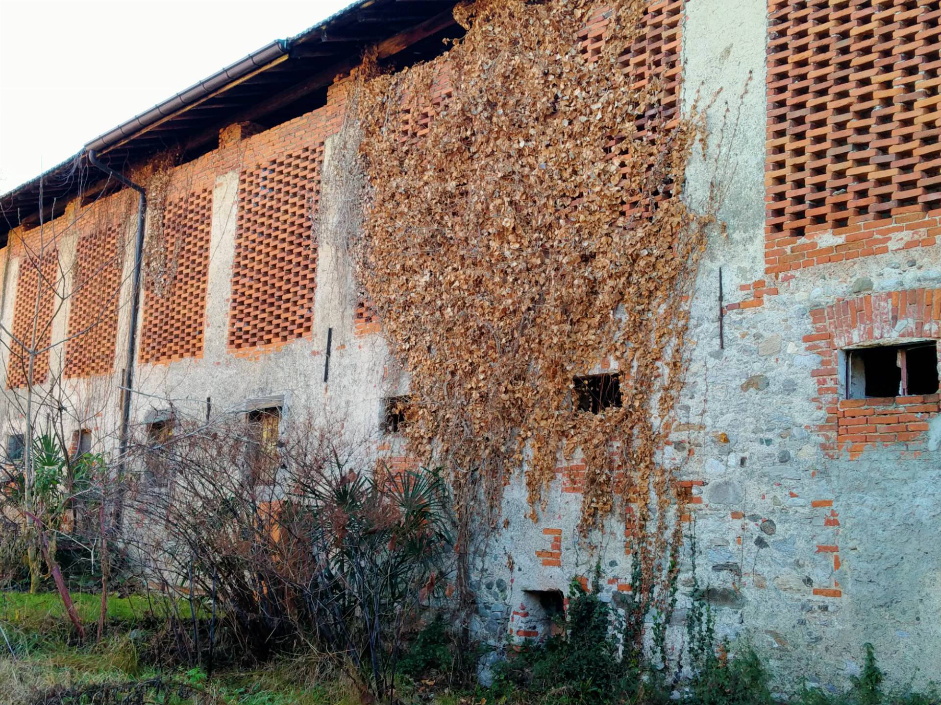 immagine annuncio 3 di 6