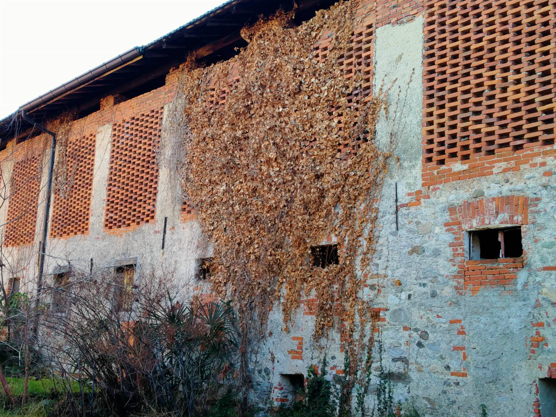 immagine annuncio 4 di 6