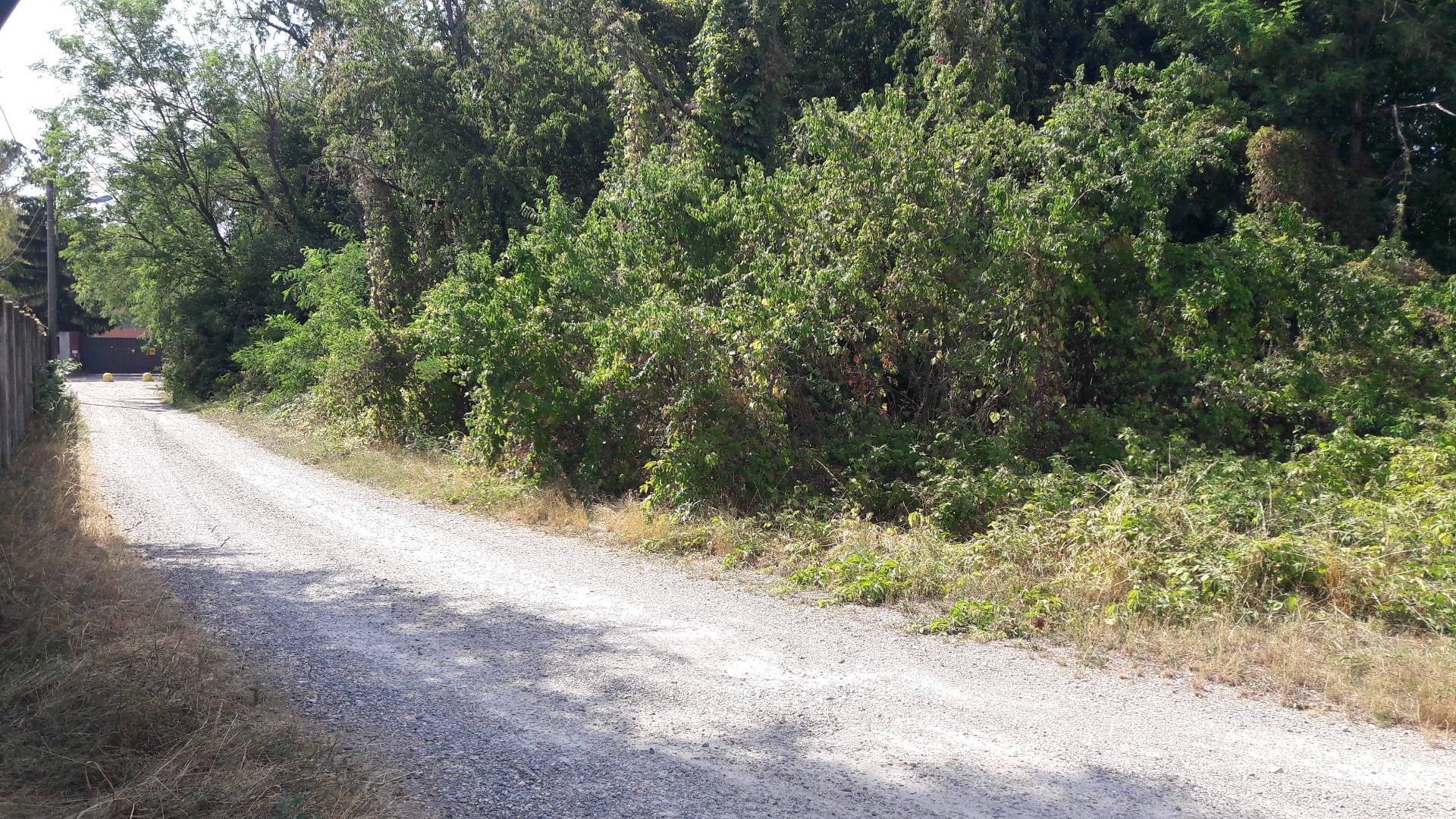 Terreno edificabile in vendita a Samarate