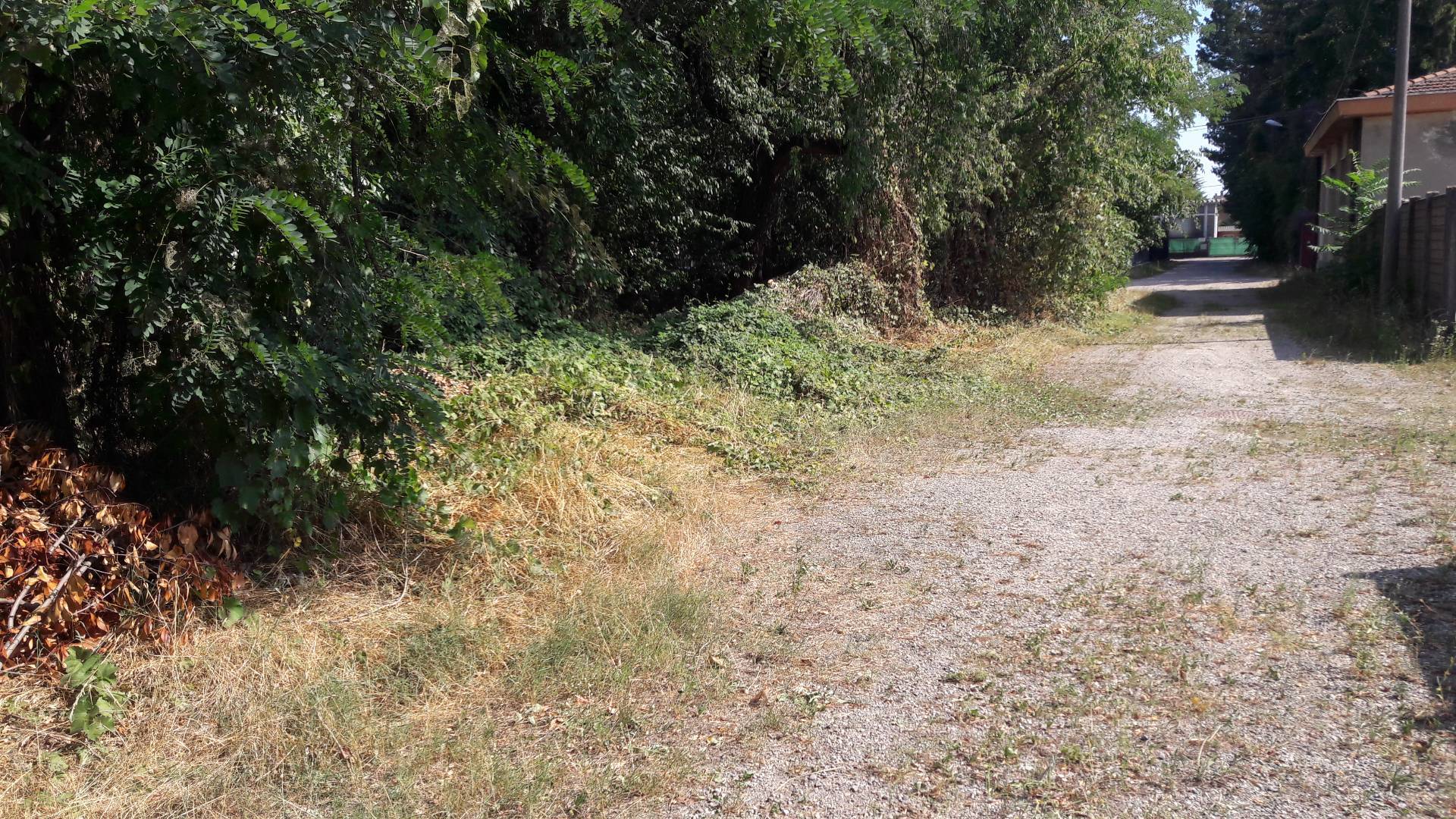 Terreno edificabile in vendita a Samarate