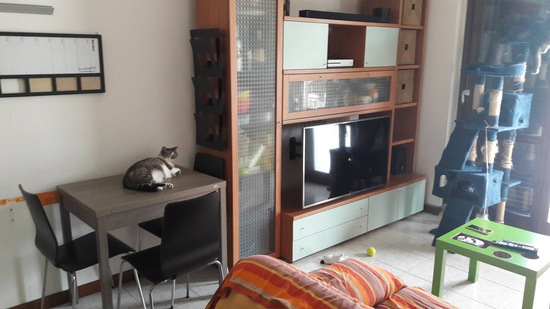 Appartamento in affitto a Besnate