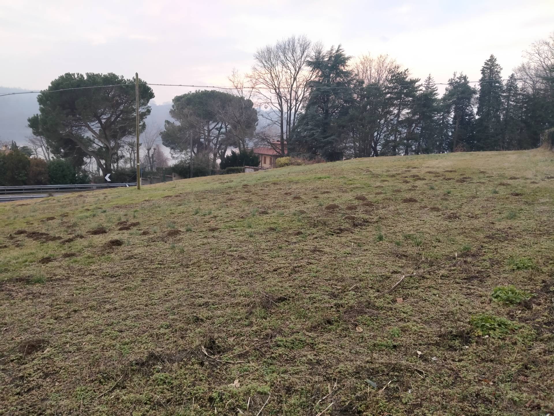 terreni di varie tipologie in vendita a Travedona-Monate