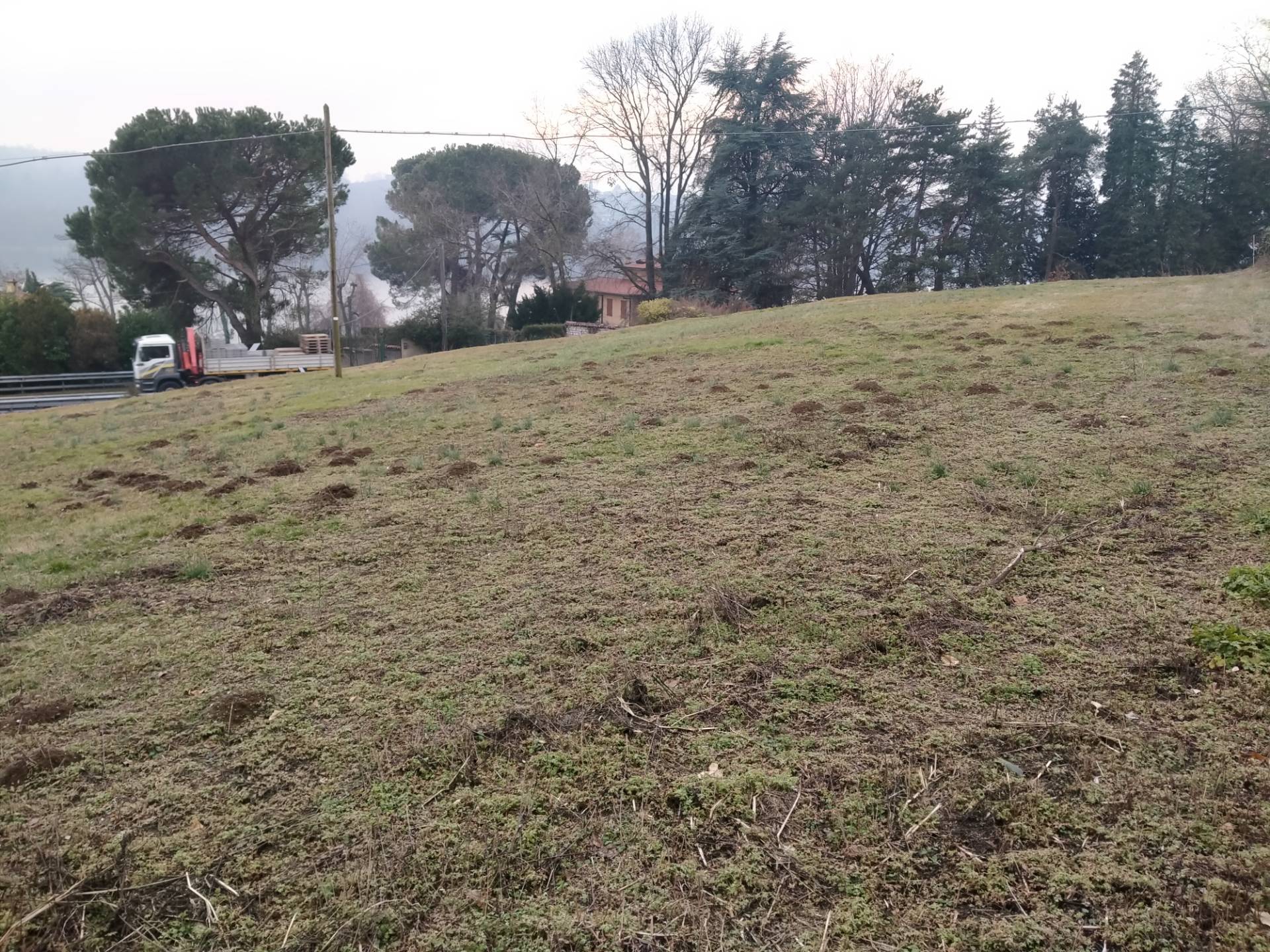 terreni di varie tipologie in vendita a Travedona-Monate
