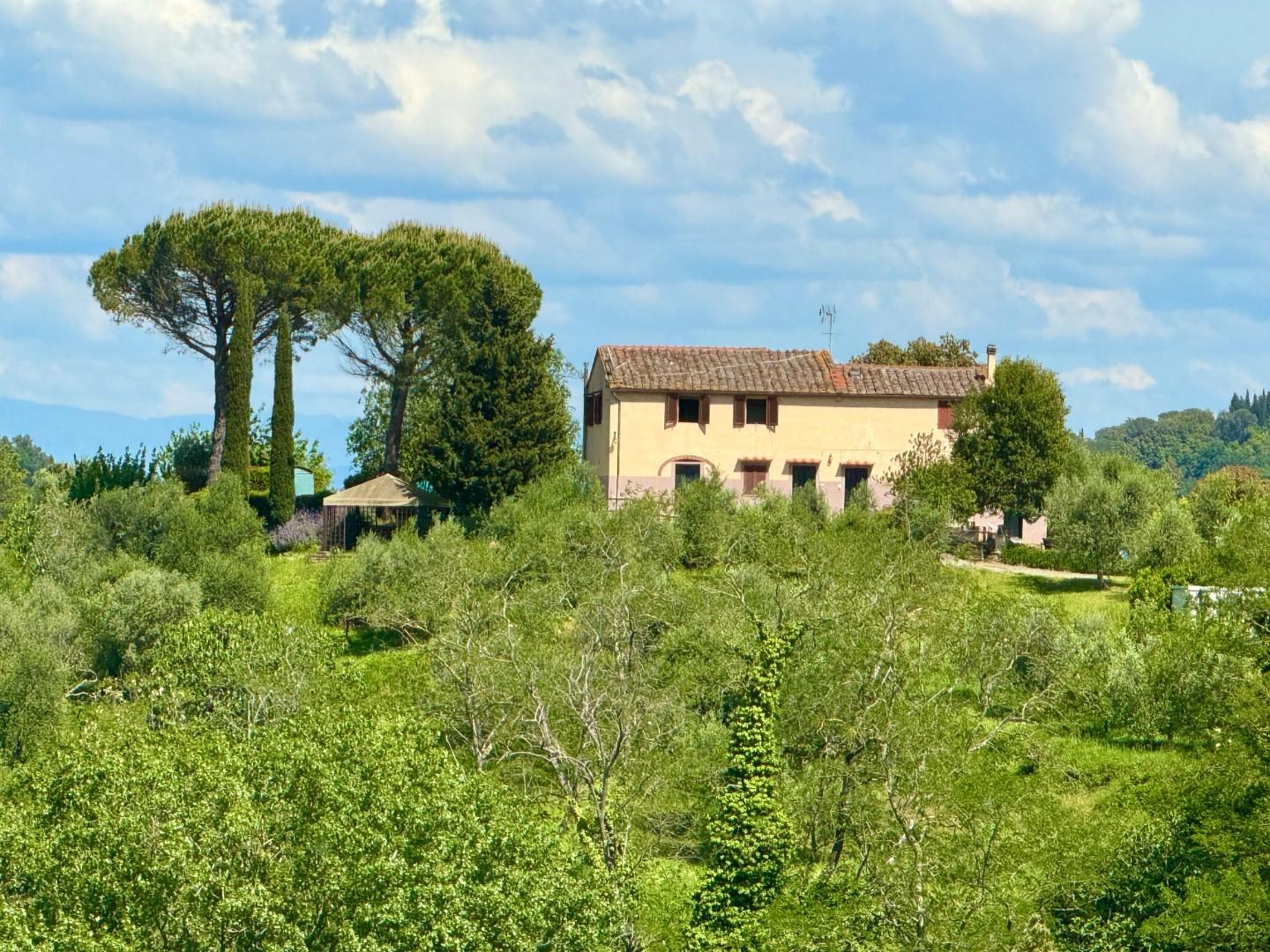 Rustico con giardino a Palaia