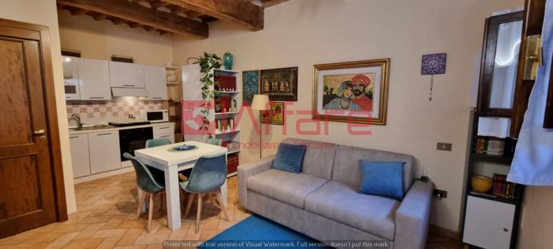 Monolocale arredato in affitto, Palaia partino