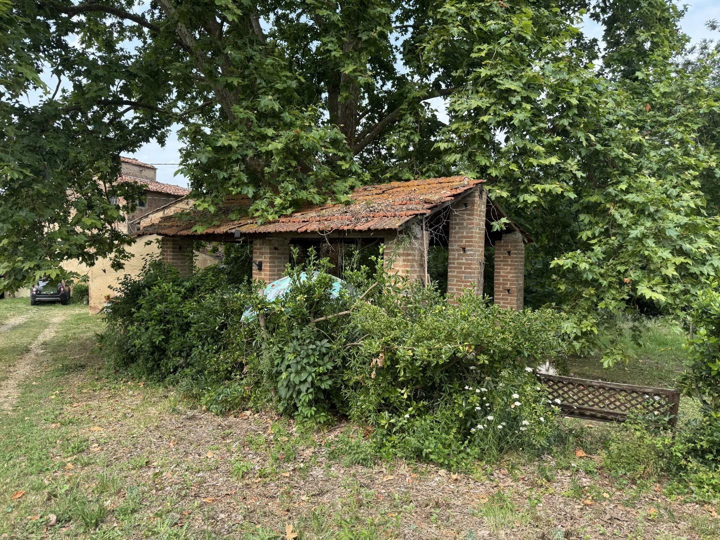 immagine annuncio 3 di 6