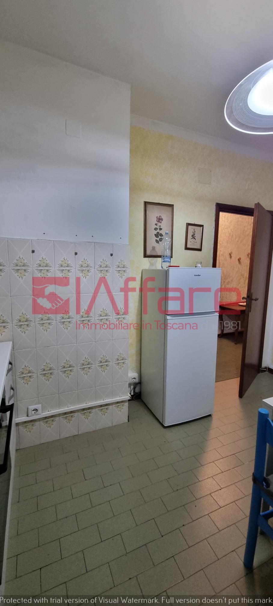 Bilocale in affitto, Pontedera villaggi