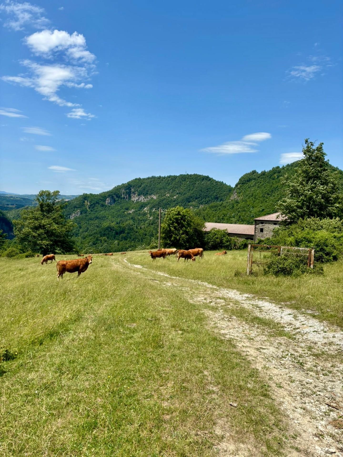 Rustico da ristrutturare, Firenzuola bruscoli