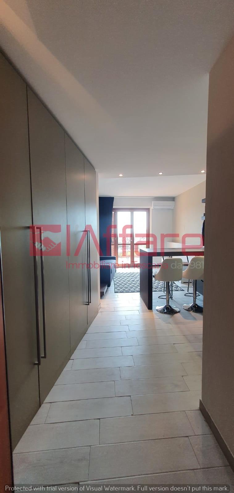 Monolocale arredato in affitto, Calcinaia poggio nicky