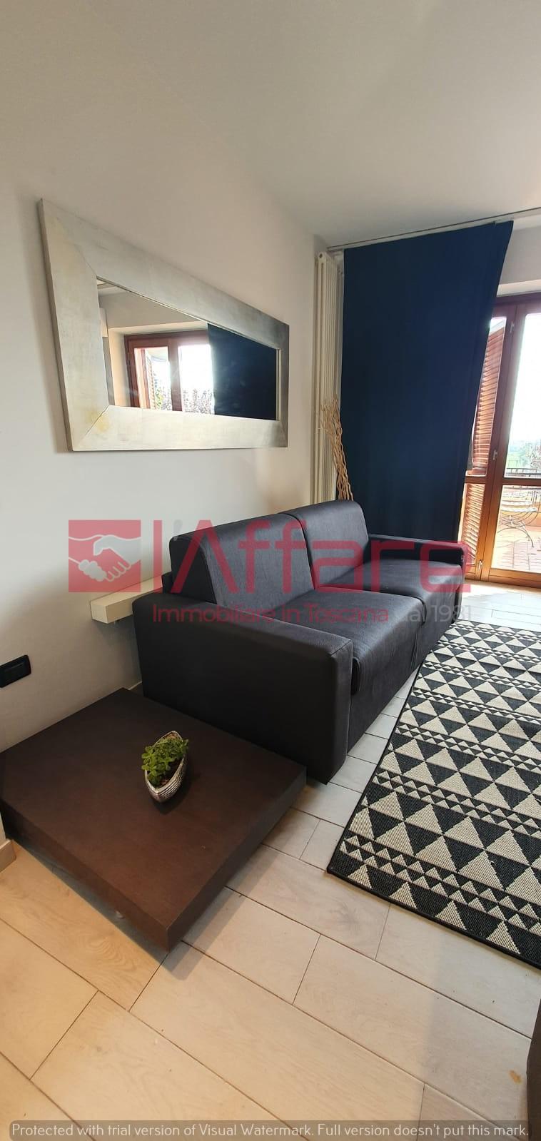 Monolocale arredato in affitto, Calcinaia poggio nicky