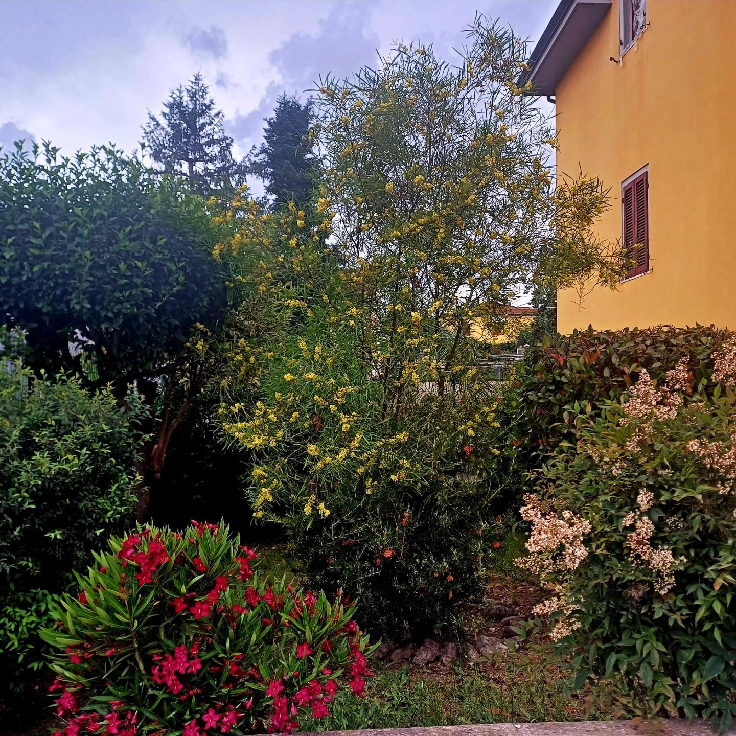 Casa indipendente con giardino, Santa Croce sull'Arno staffoli